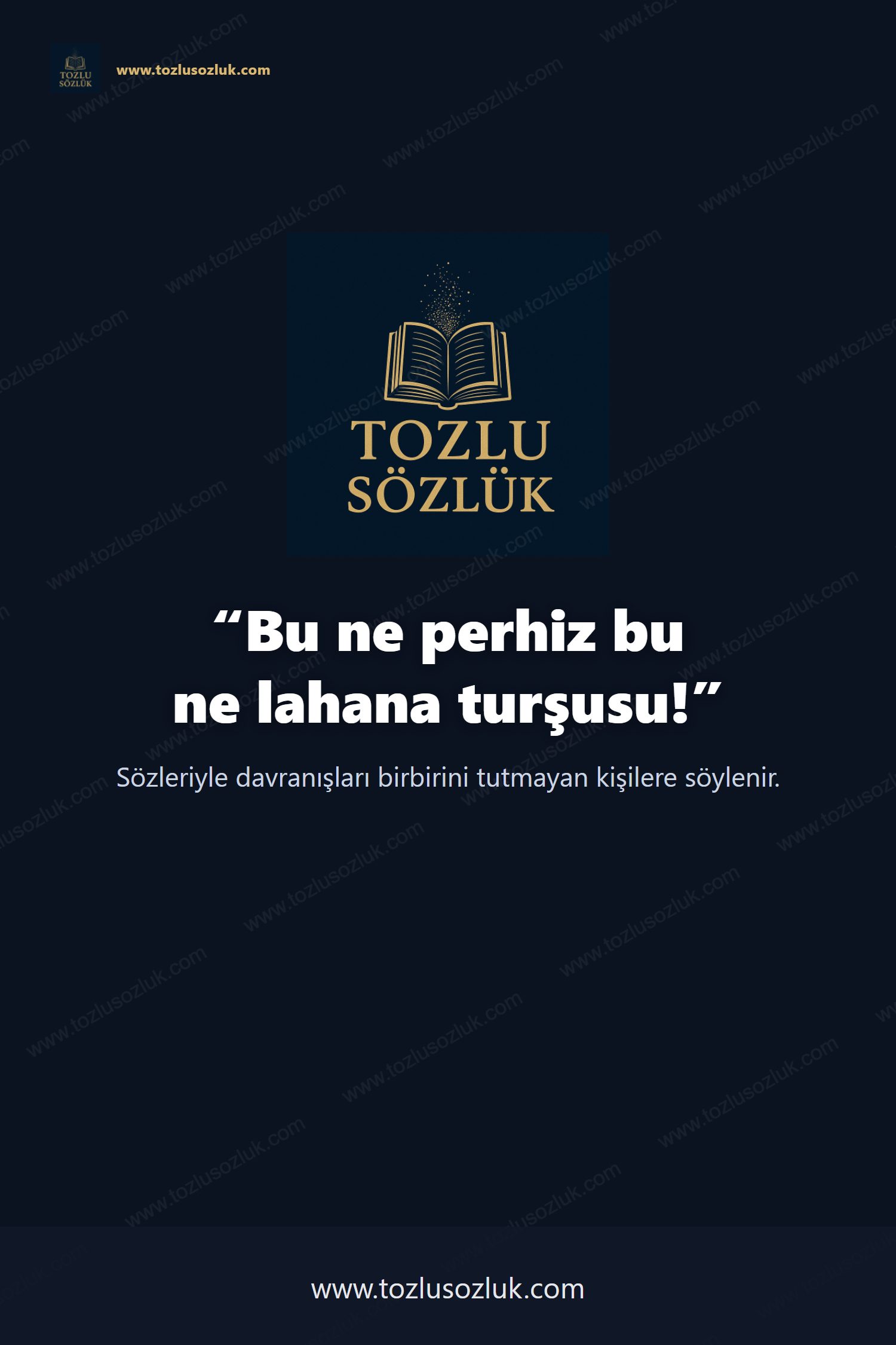 Bu ne perhiz bu ne lahana turşusu! Pinterest görseli