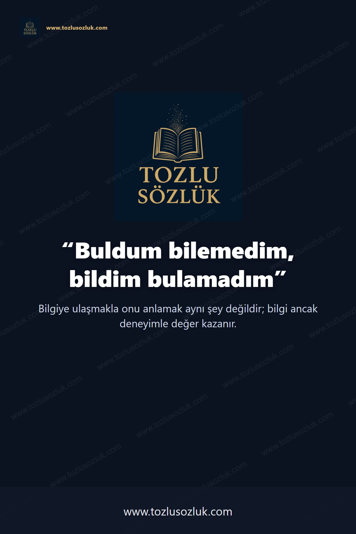 Buldum bilemedim, bildim bulamadım Pinterest görseli