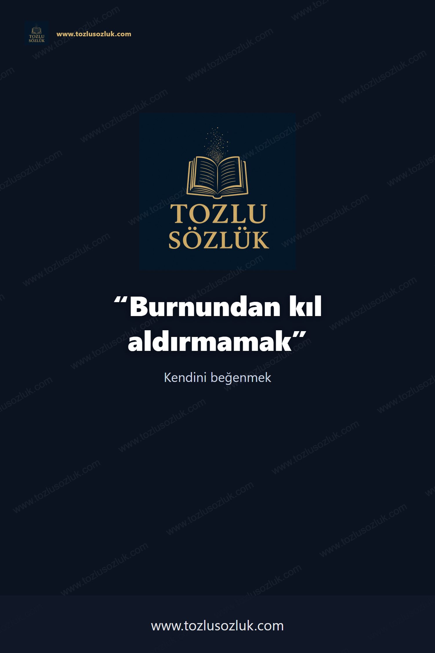 Burnundan kıl aldırmamak Pinterest görseli