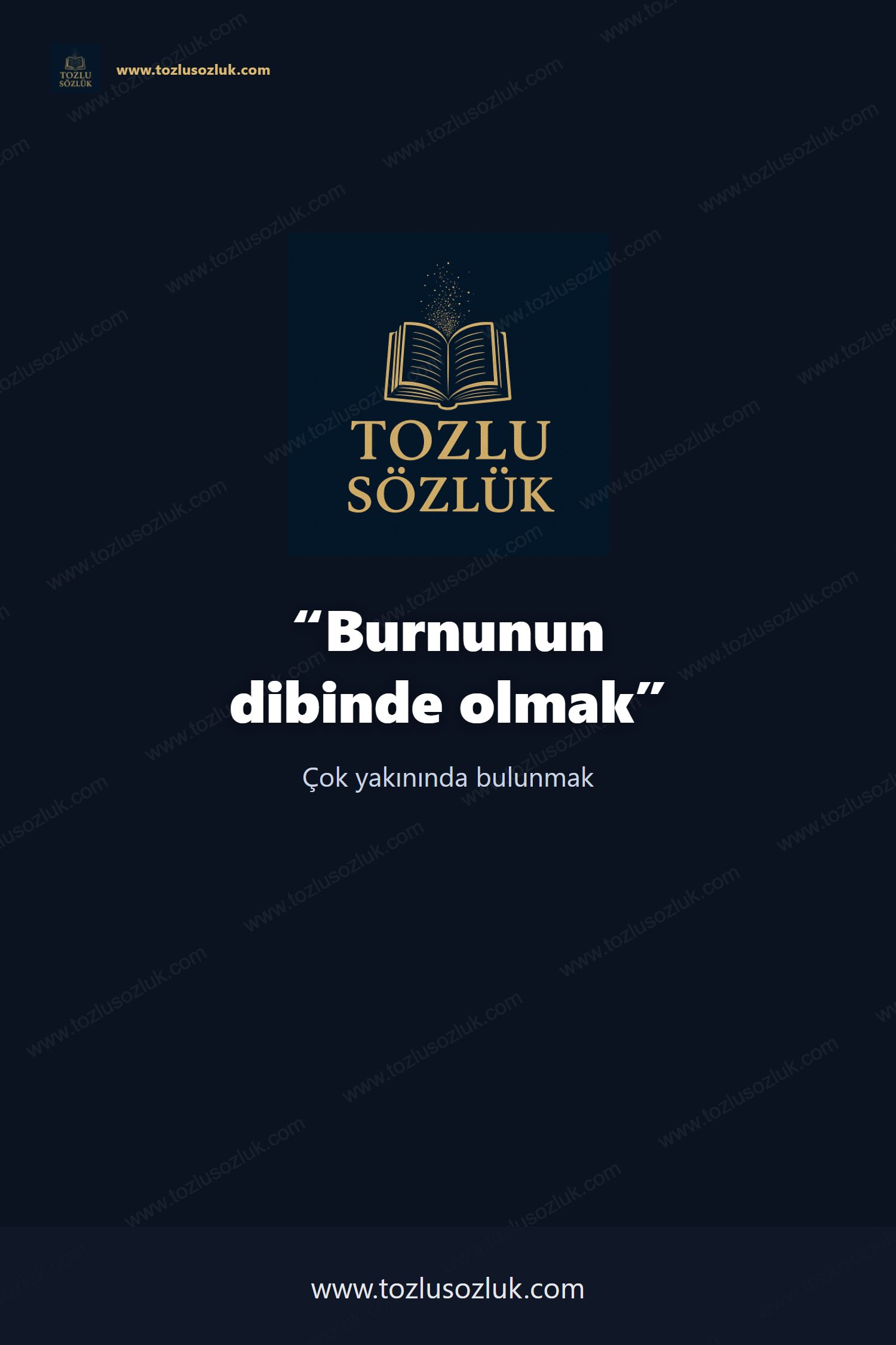 Burnunun dibinde olmak Pinterest görseli