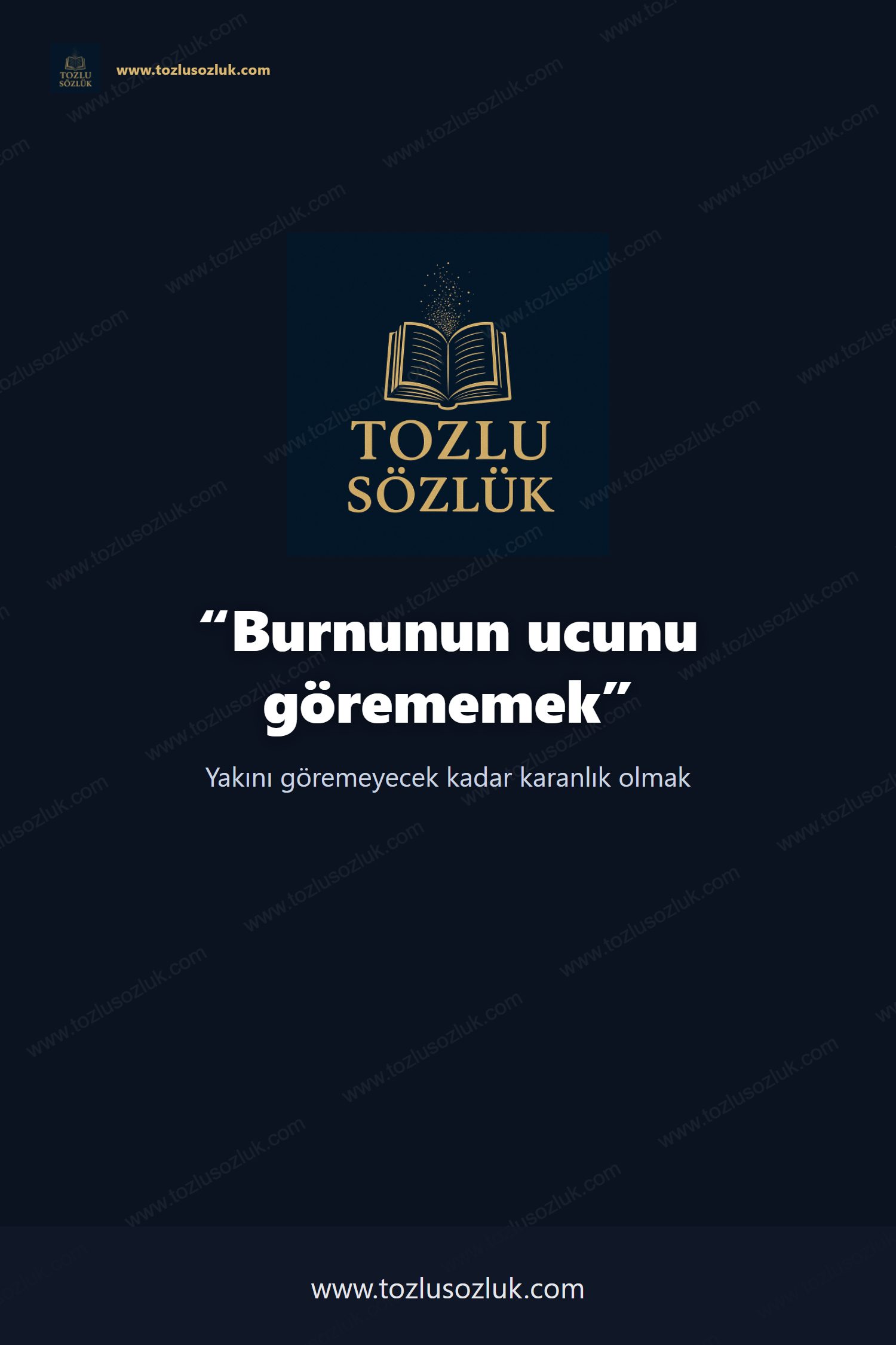 Burnunun ucunu görememek Pinterest görseli
