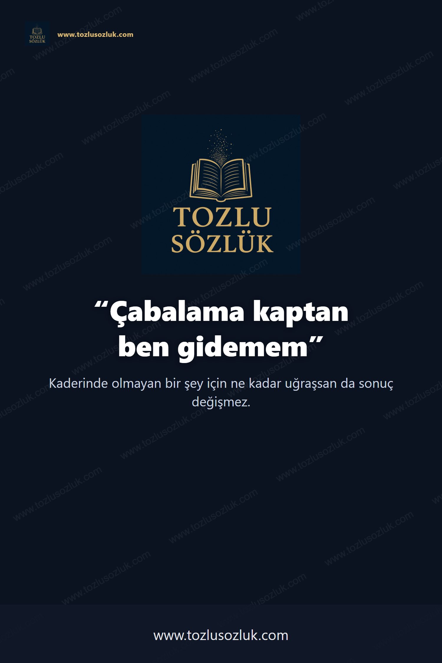 Çabalama kaptan ben gidemem Pinterest görseli