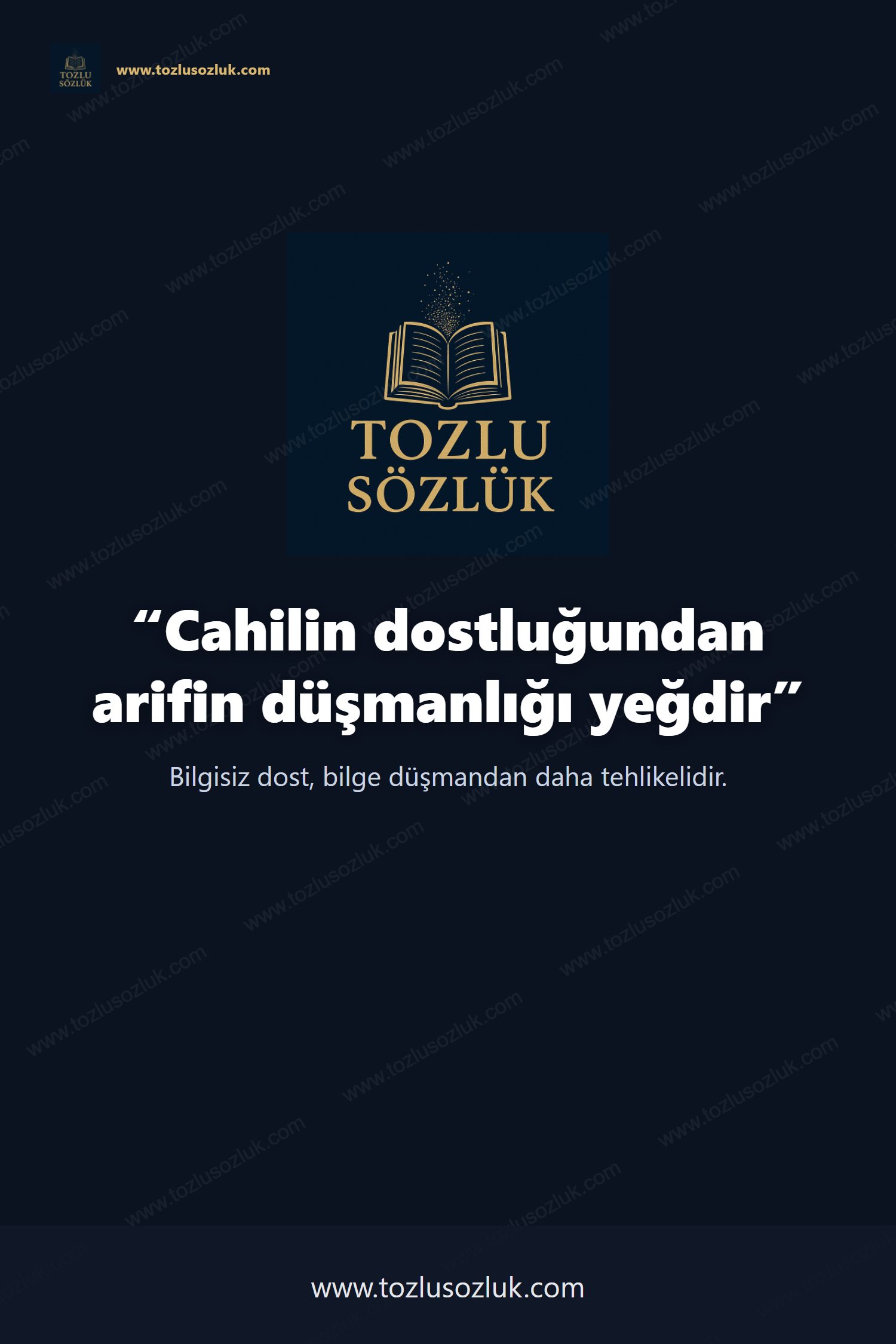 Cahilin dostluğundan arifin düşmanlığı yeğdir Pinterest görseli