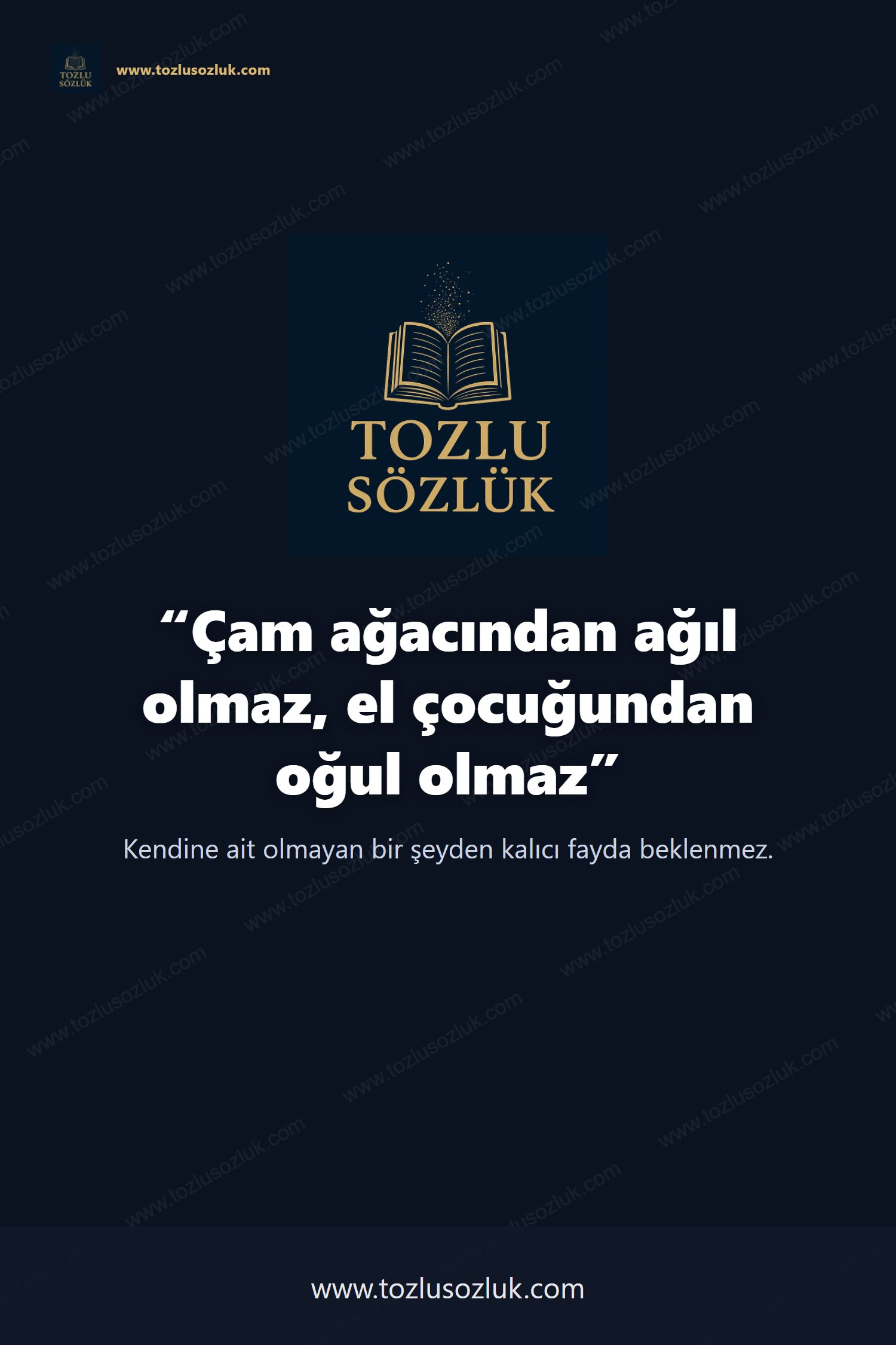 Çam ağacından ağıl olmaz, el çocuğundan oğul olmaz Pinterest görseli