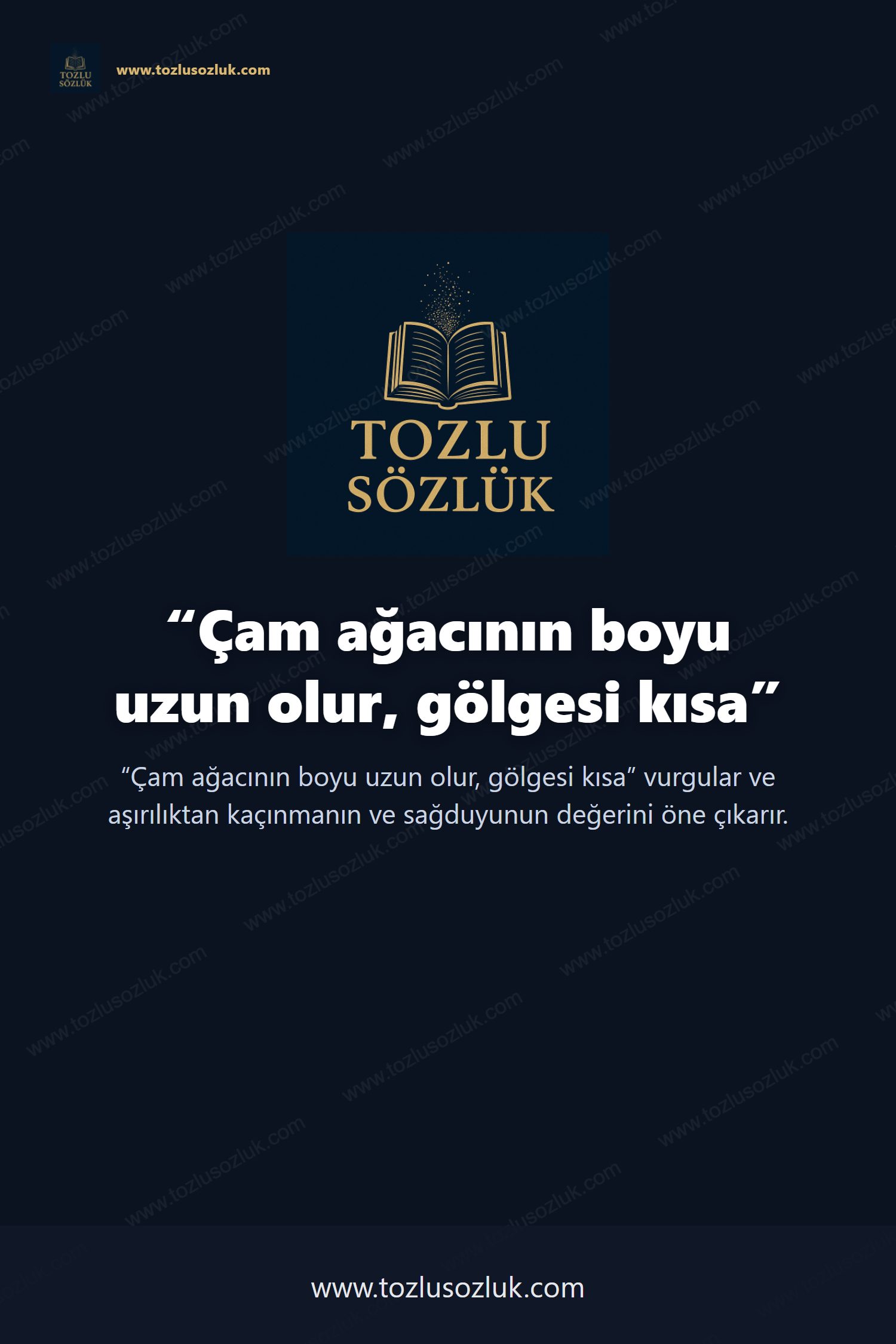 Çam ağacının boyu uzun olur, gölgesi kısa Pinterest görseli