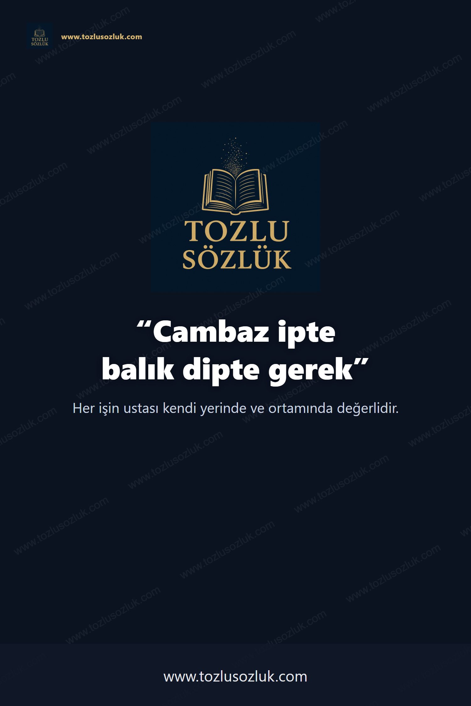 Cambaz ipte balık dipte gerek Pinterest görseli