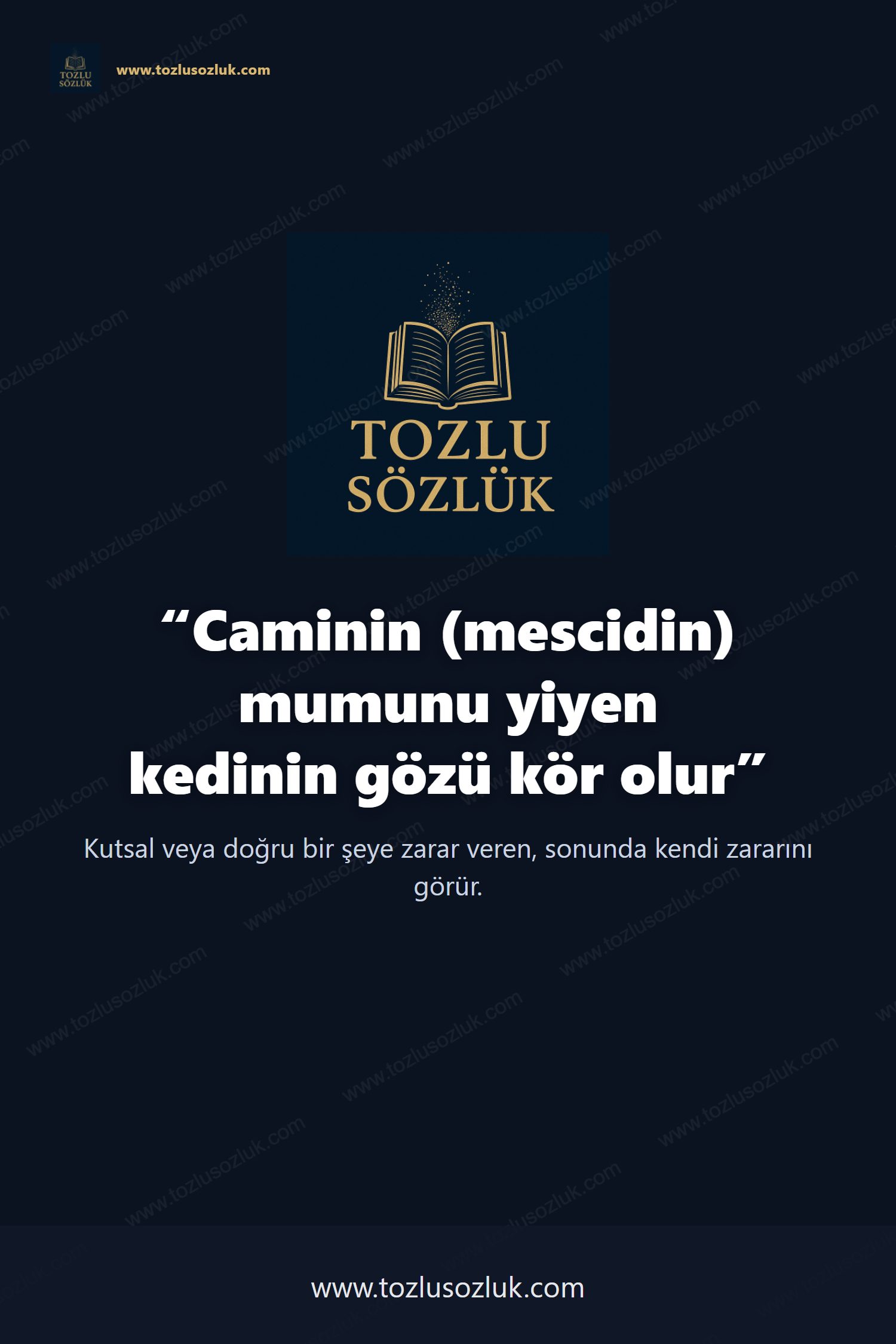 Caminin (mescidin) mumunu yiyen kedinin gözü kör olur Pinterest görseli