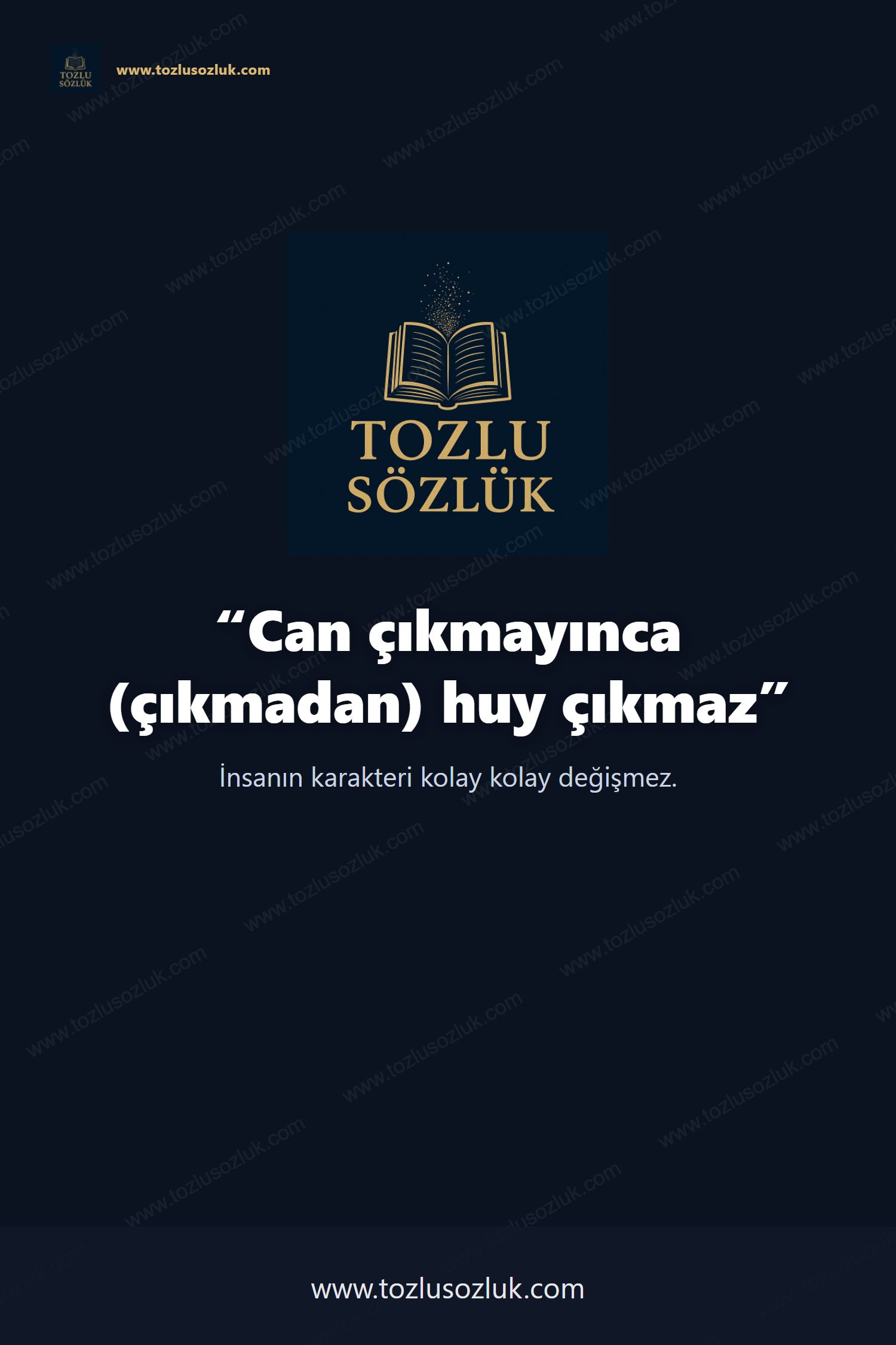 Can çıkmayınca (çıkmadan) huy çıkmaz Pinterest görseli