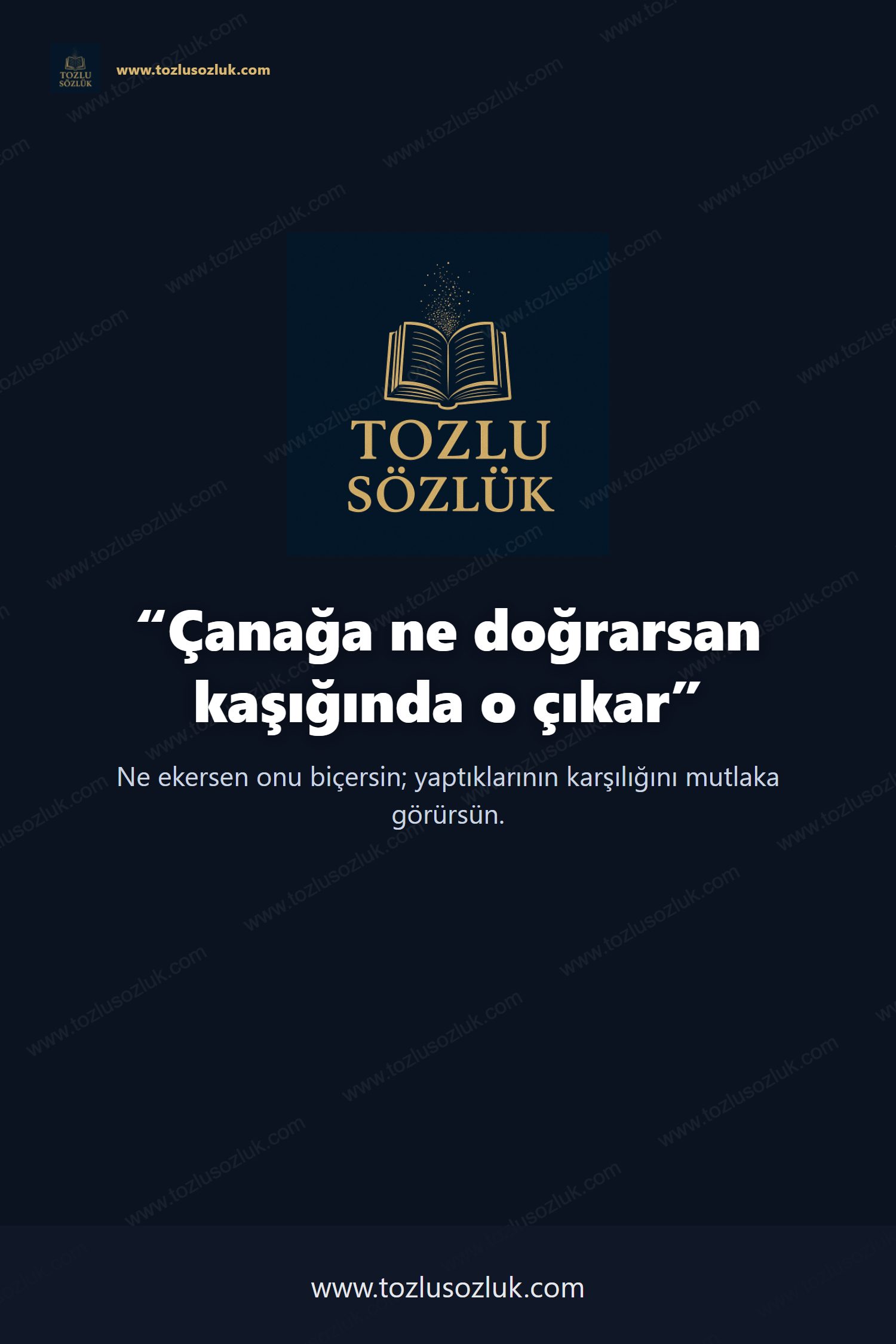 Çanağa ne doğrarsan kaşığında o çıkar Pinterest görseli