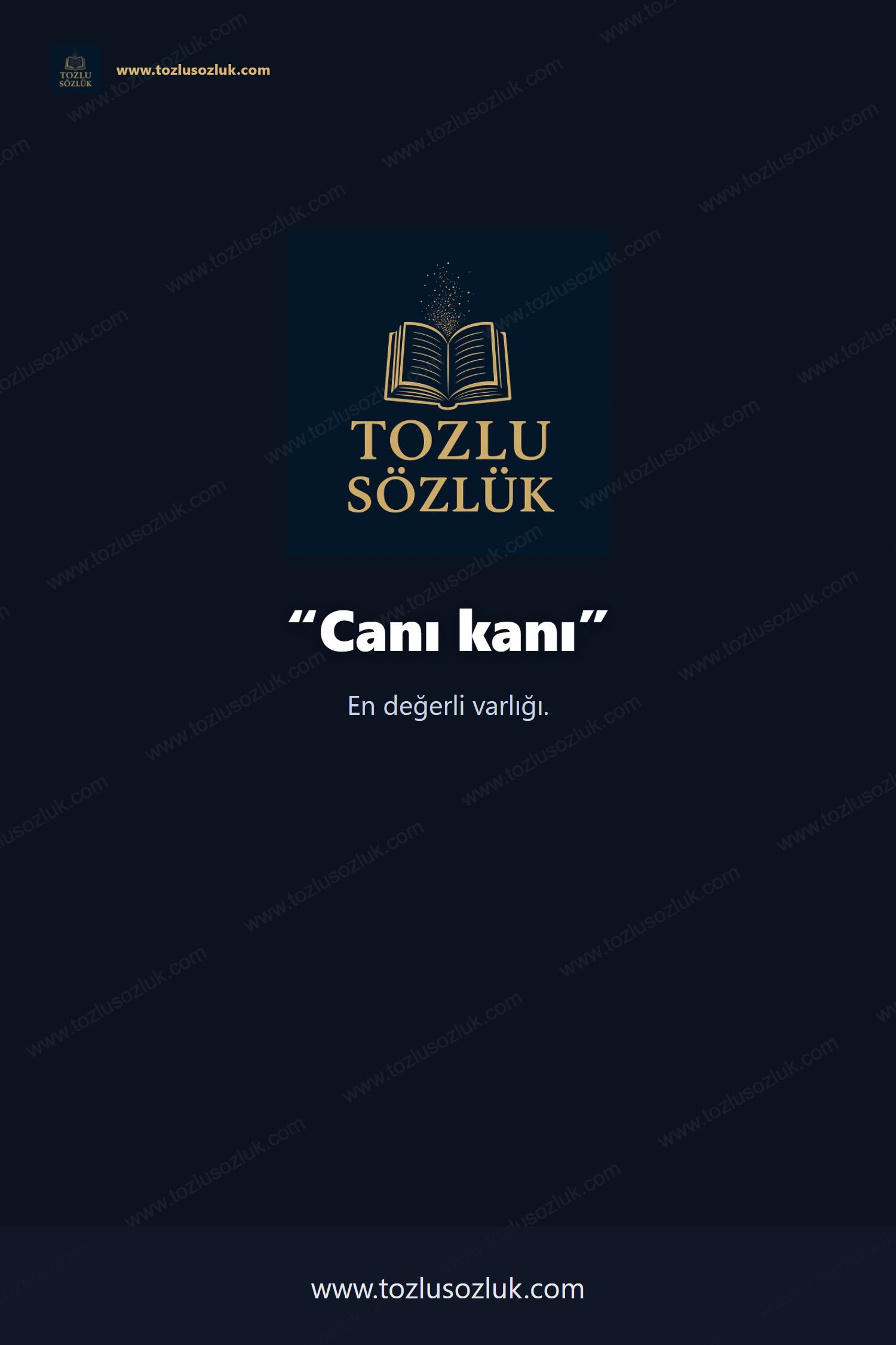 Canı kanı Pinterest görseli