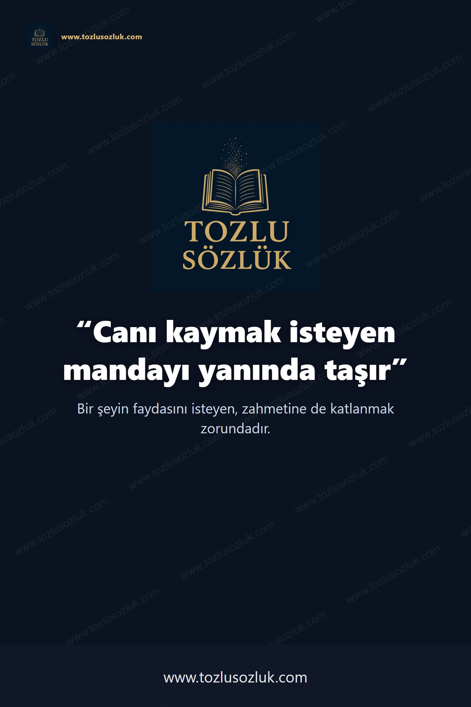 Canı kaymak isteyen mandayı yanında taşır Pinterest görseli