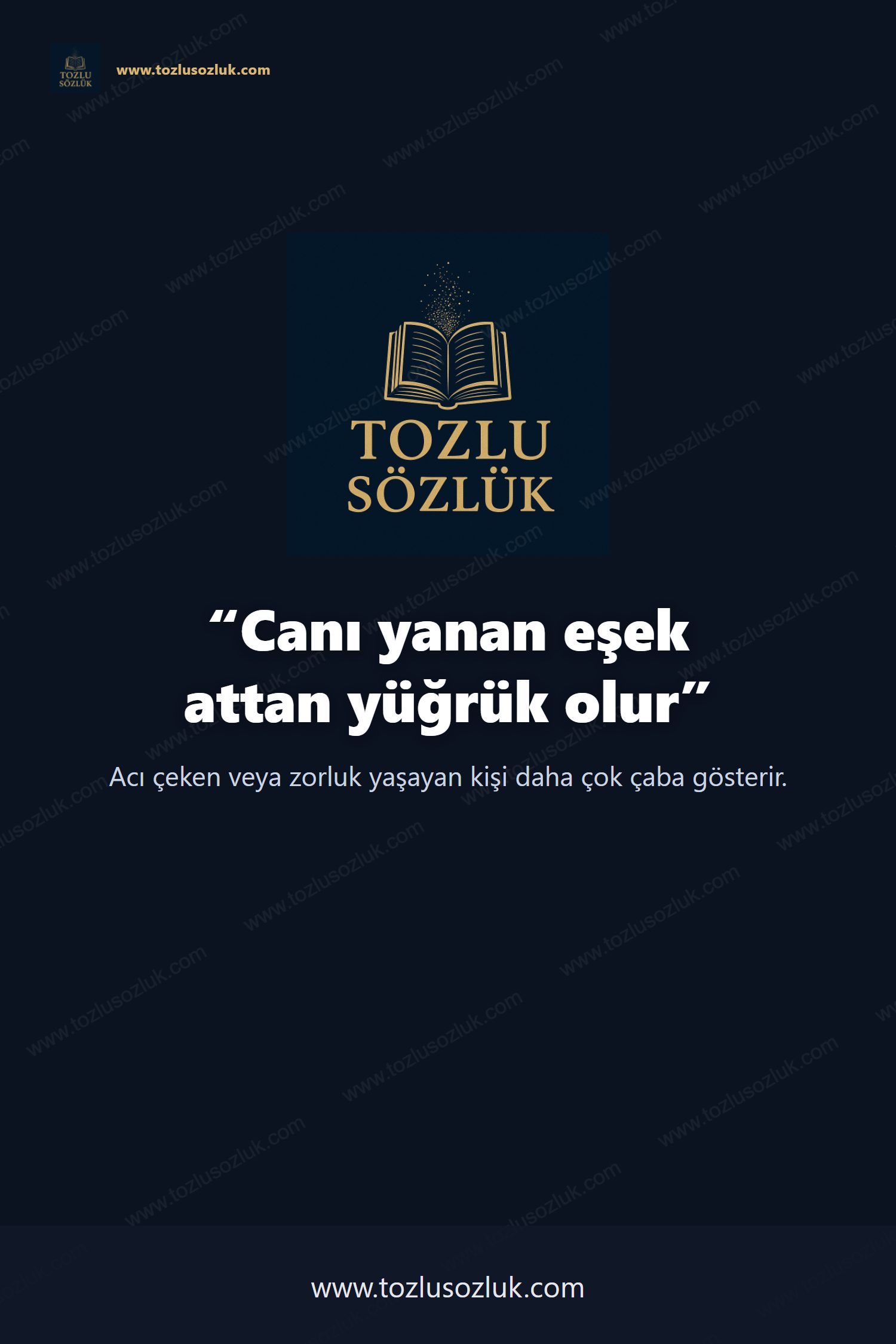 Canı yanan eşek attan yüğrük olur Pinterest görseli