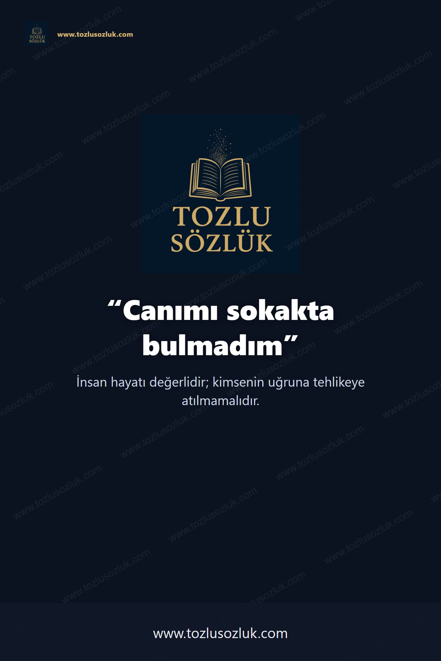 Canımı sokakta bulmadım Pinterest görseli