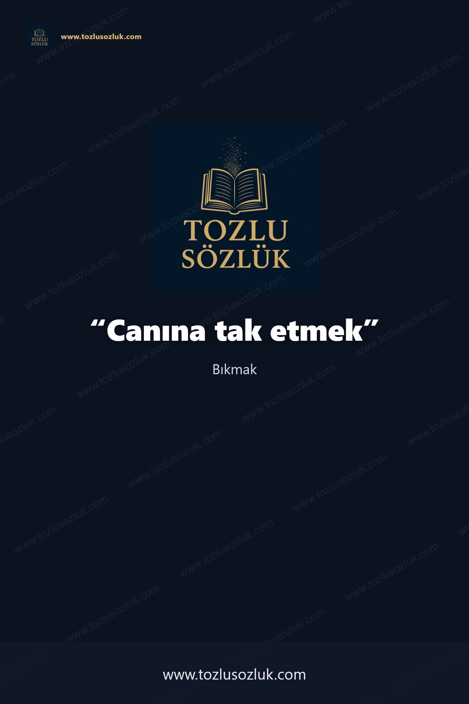 Canına tak etmek Pinterest görseli