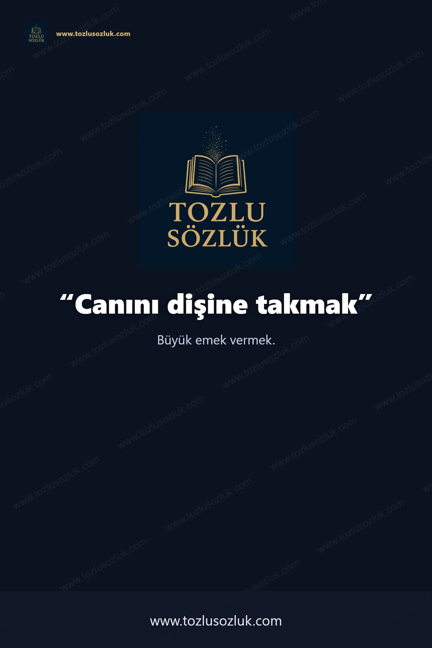 Canını dişine takmak Pinterest görseli