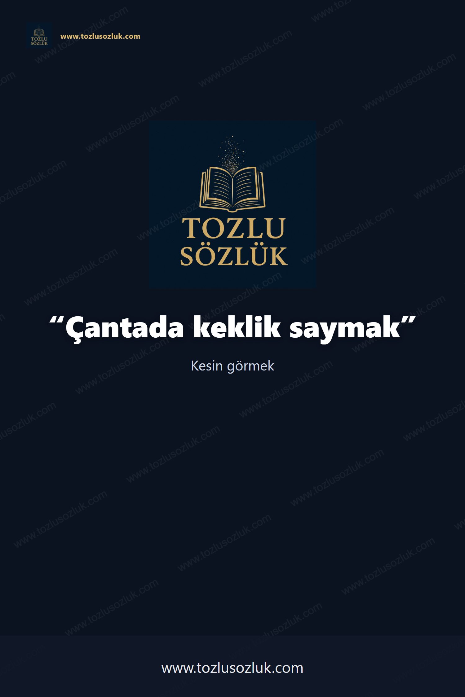 Çantada keklik saymak Pinterest görseli