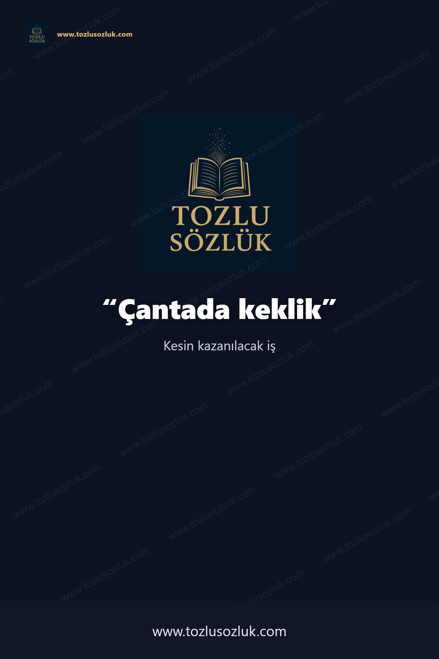 Çantada keklik Pinterest görseli