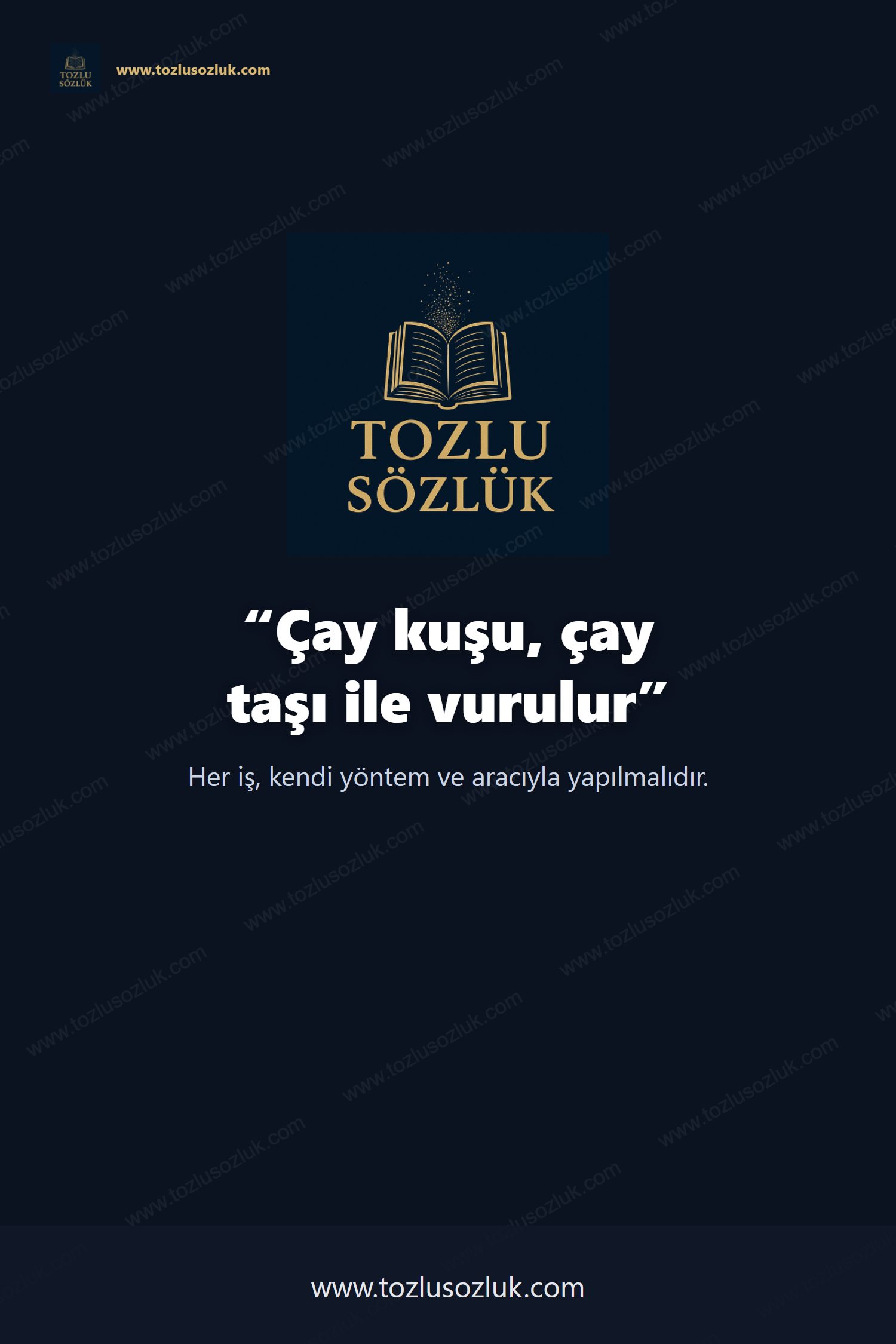 Çay kuşu, çay taşı ile vurulur Pinterest görseli