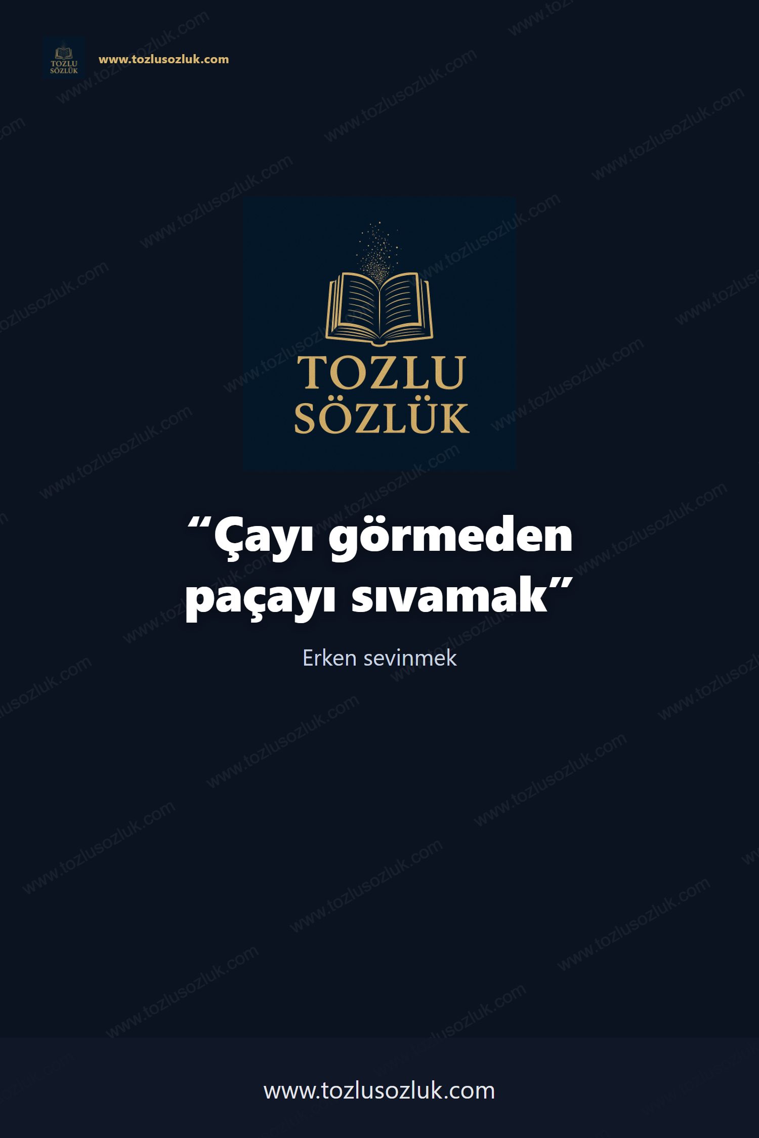 Çayı görmeden paçayı sıvamak Pinterest görseli
