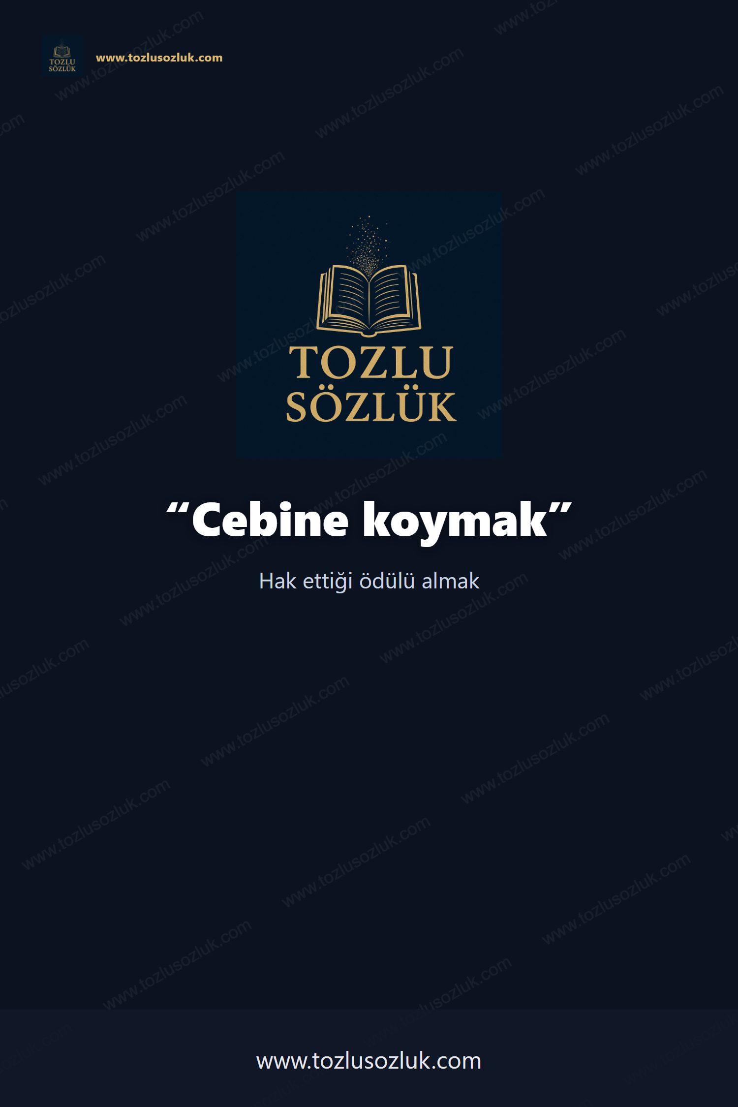 Cebine koymak Pinterest görseli