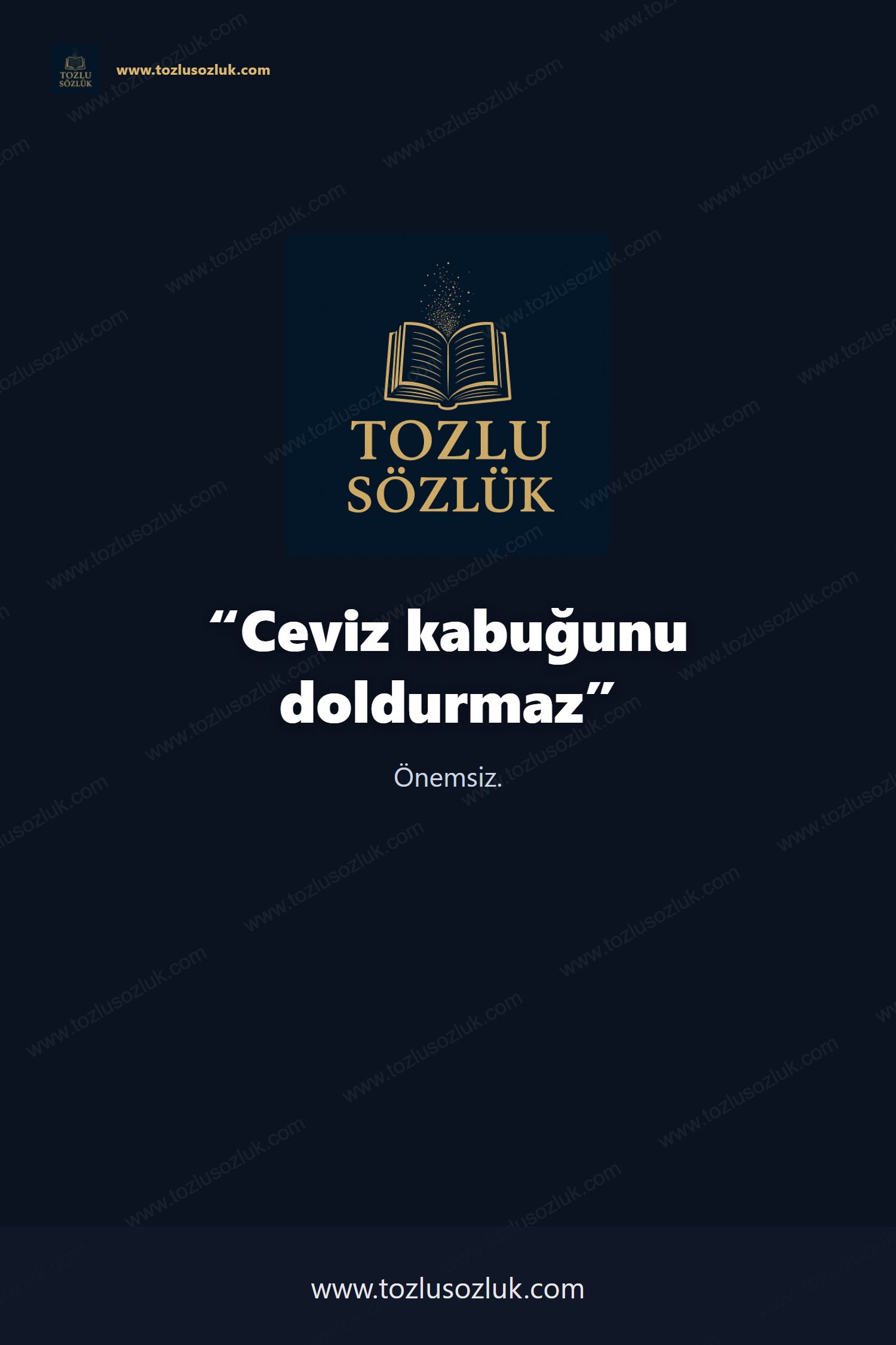 Ceviz kabuğunu doldurmaz Pinterest görseli