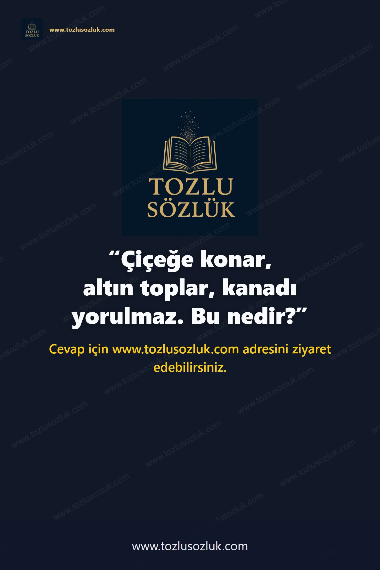 Çiçeğe konar, altın toplar, kanadı yorulmaz. Bu nedir? Pinterest görseli