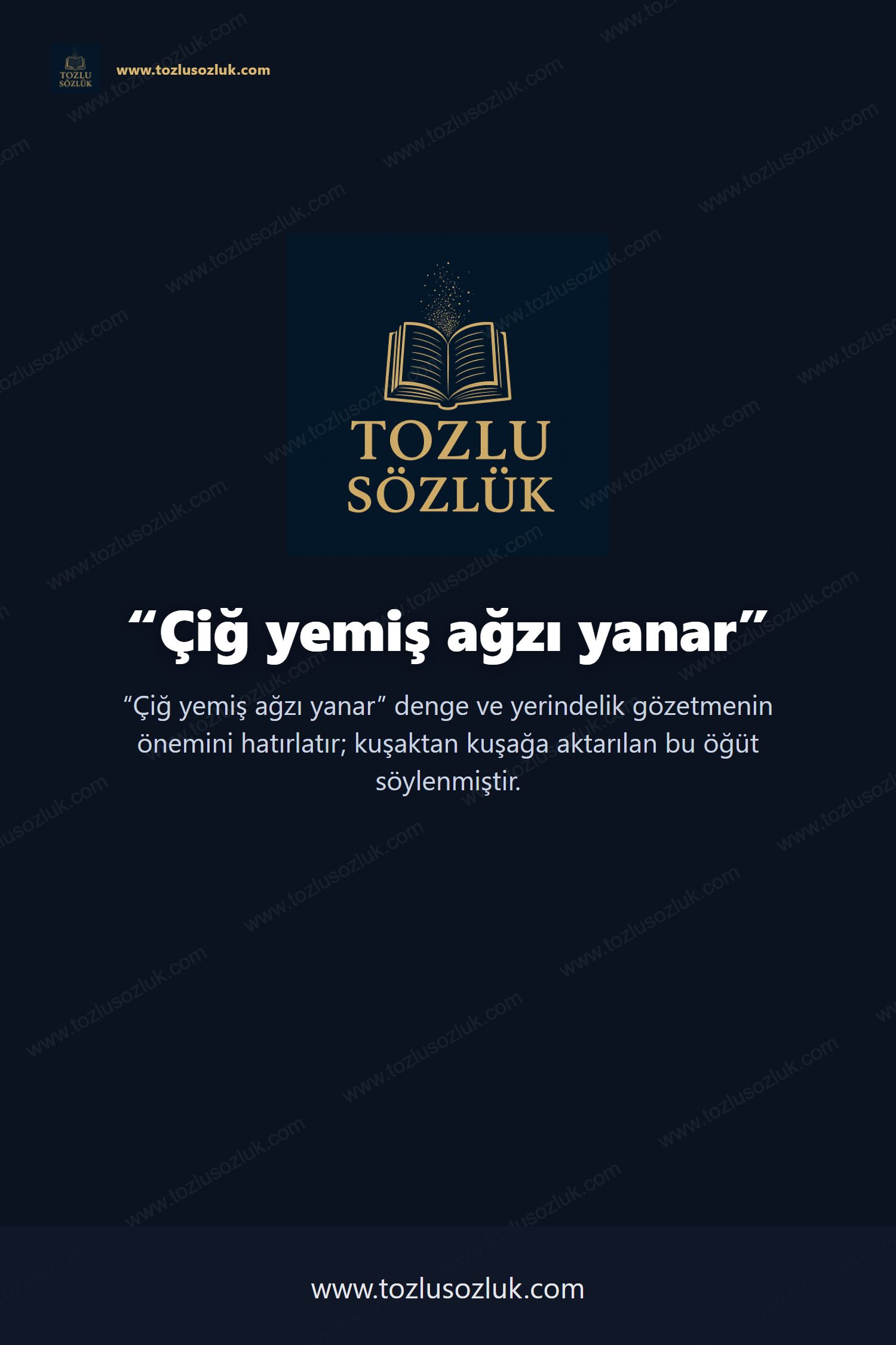 Çiğ yemiş ağzı yanar Pinterest görseli