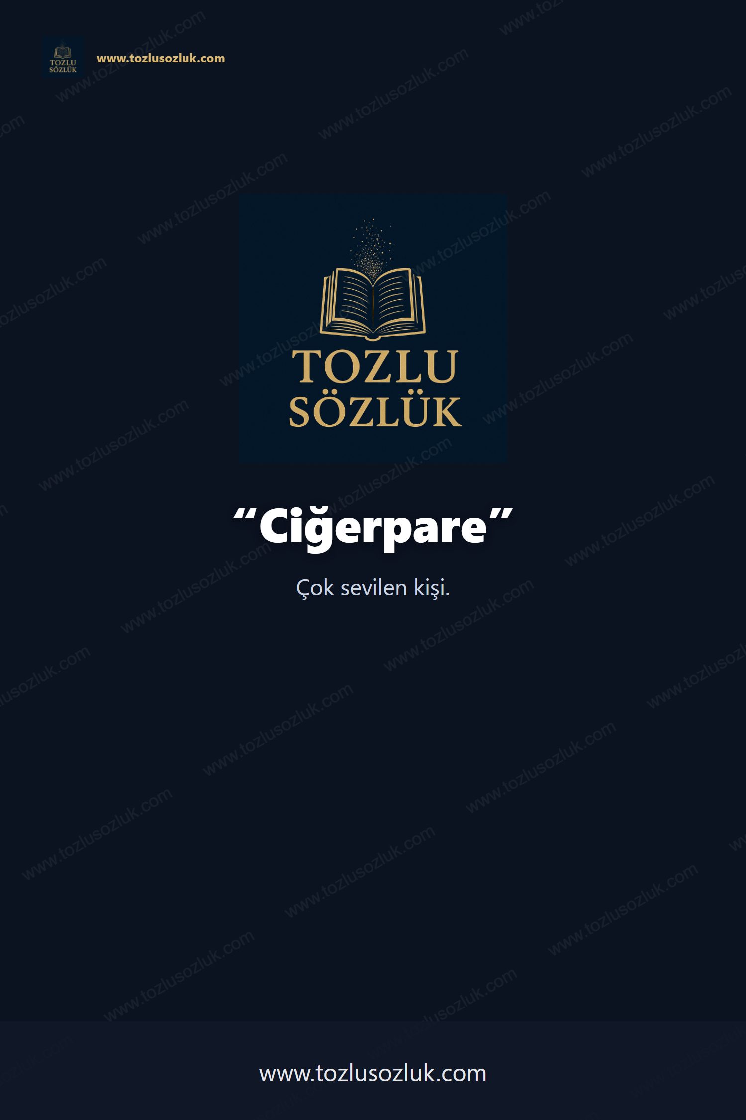 Ciğerpare Pinterest görseli