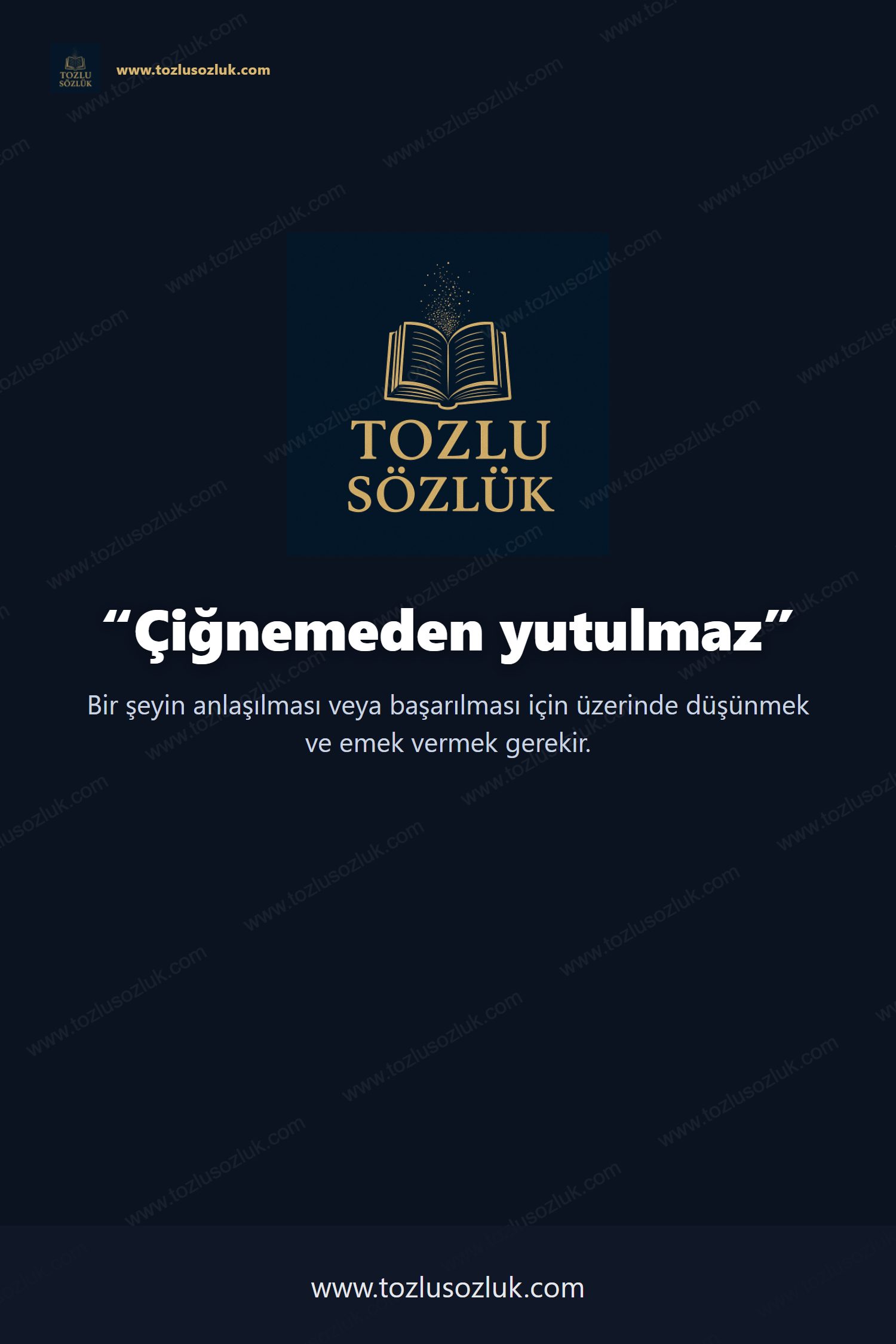 Çiğnemeden yutulmaz Pinterest görseli