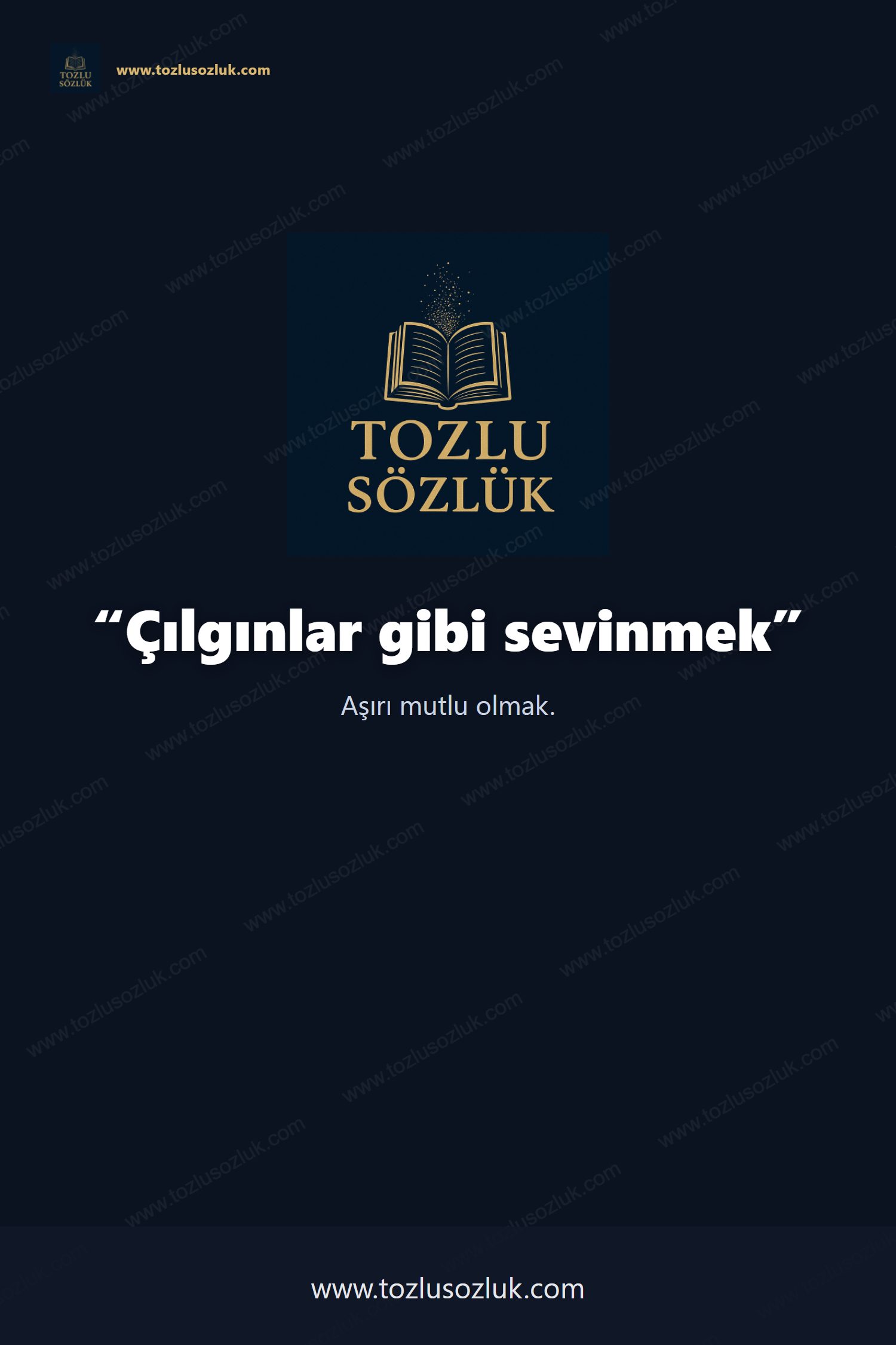 Çılgınlar gibi sevinmek Pinterest görseli