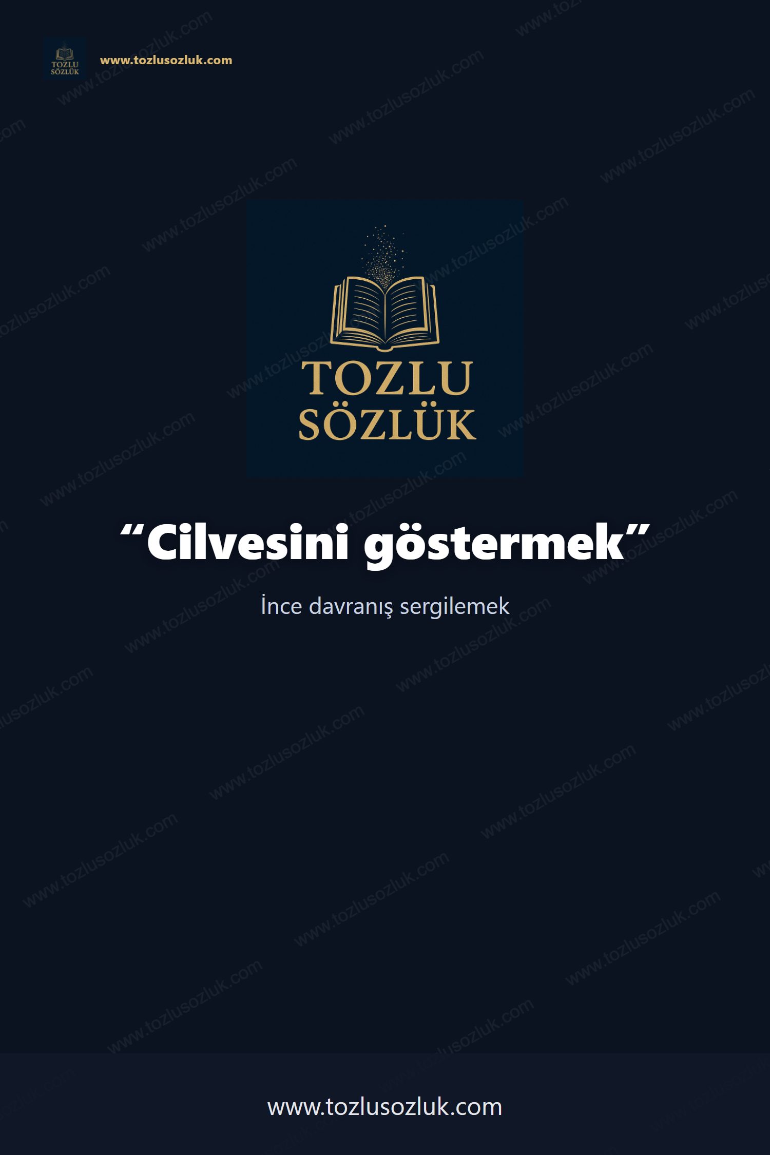 Cilvesini göstermek Pinterest görseli