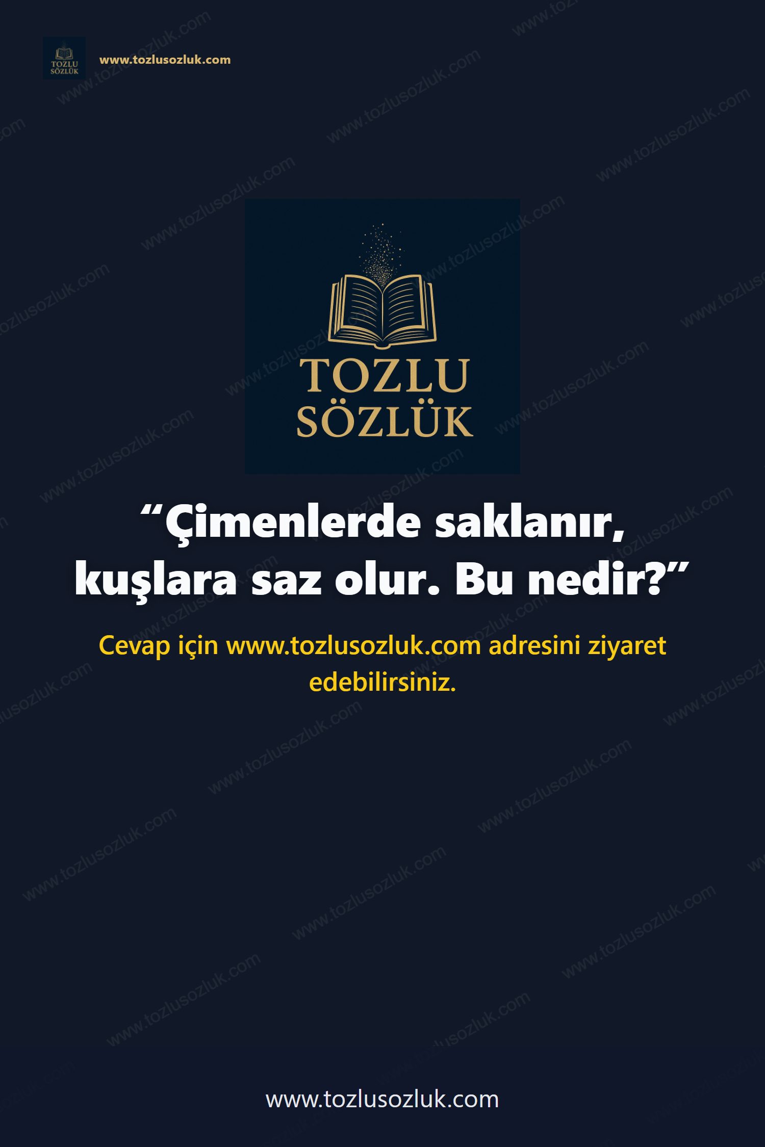 Çimenlerde saklanır, kuşlara saz olur. Bu nedir? Pinterest görseli