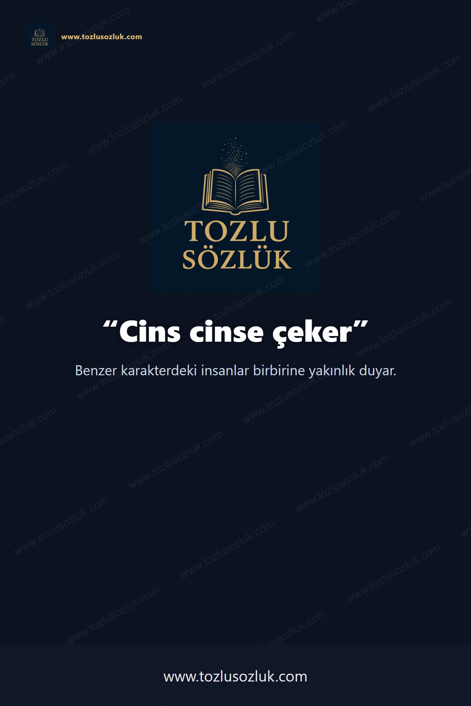 Cins cinse çeker Pinterest görseli