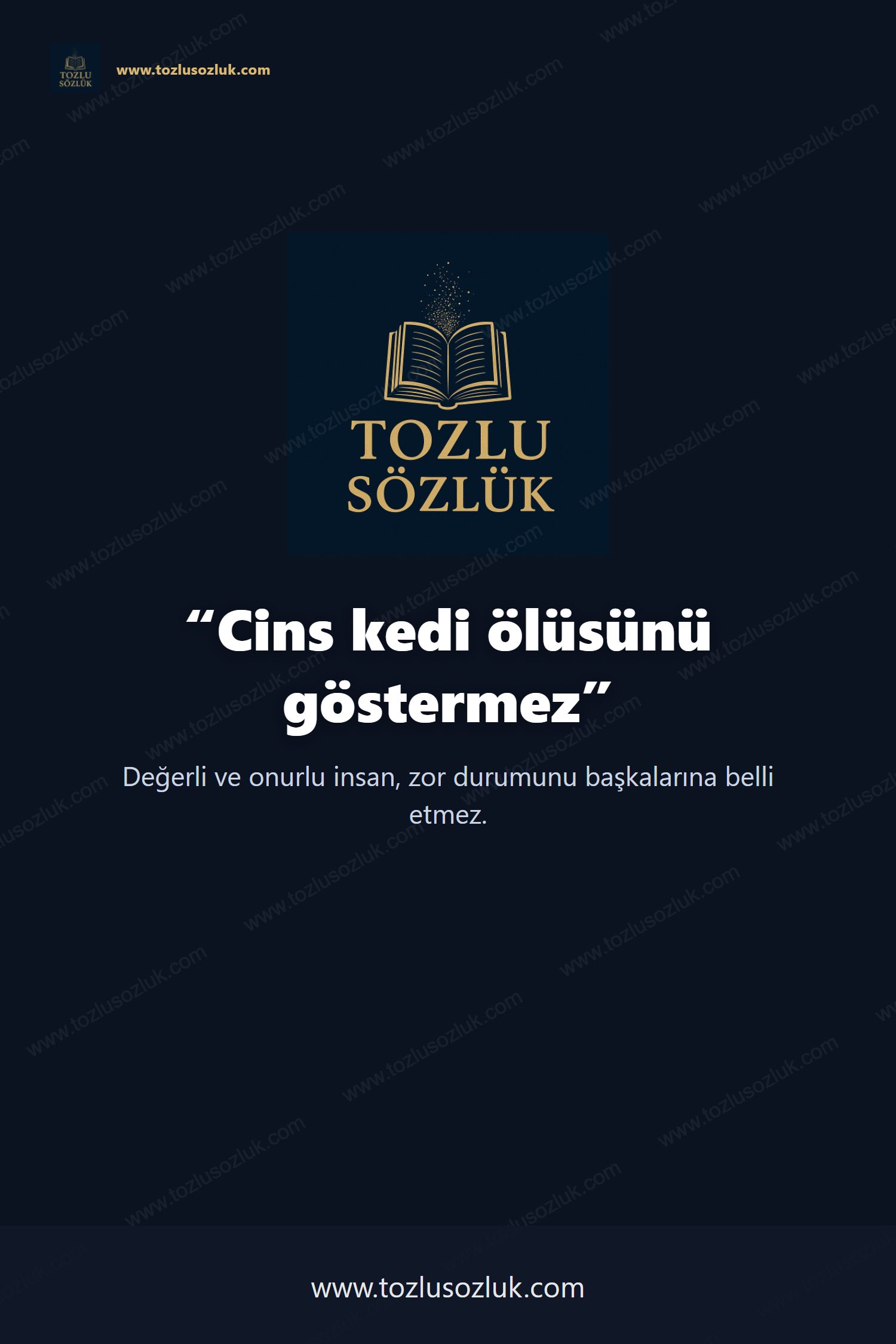 Cins kedi ölüsünü göstermez Pinterest görseli