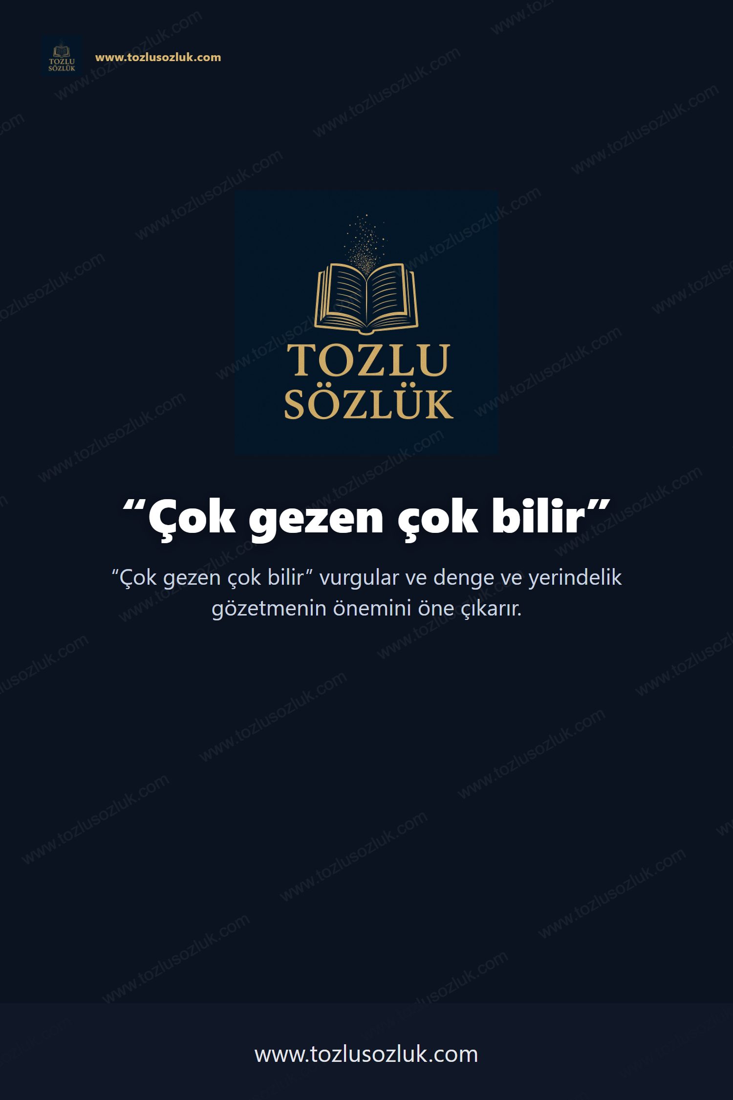 Çok gezen çok bilir Pinterest görseli