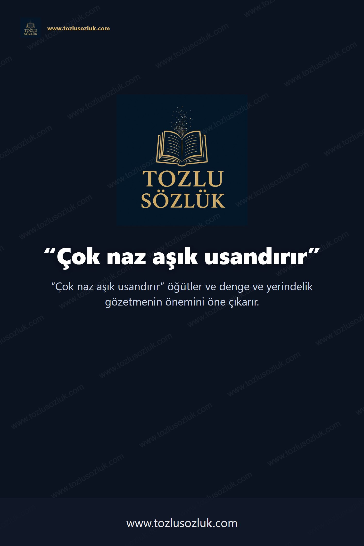 Çok naz aşık usandırır Pinterest görseli