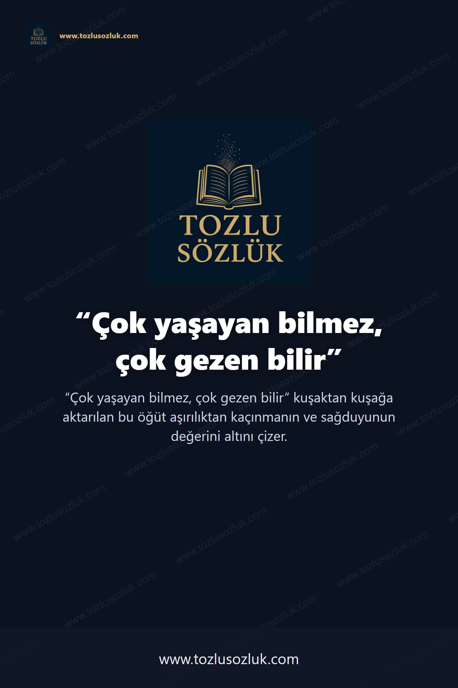 Çok yaşayan bilmez, çok gezen bilir Pinterest görseli