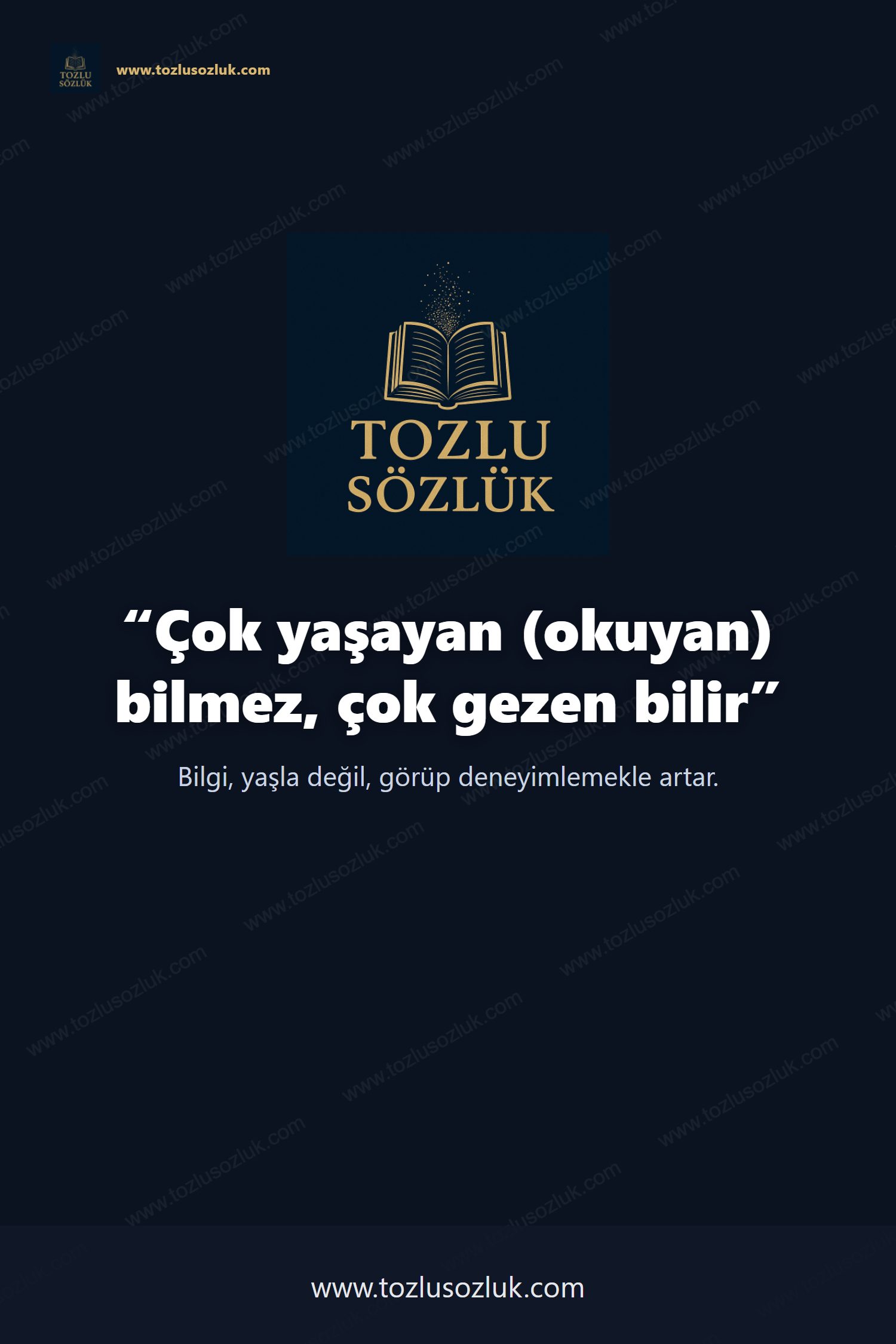 Çok yaşayan (okuyan) bilmez, çok gezen bilir Pinterest görseli