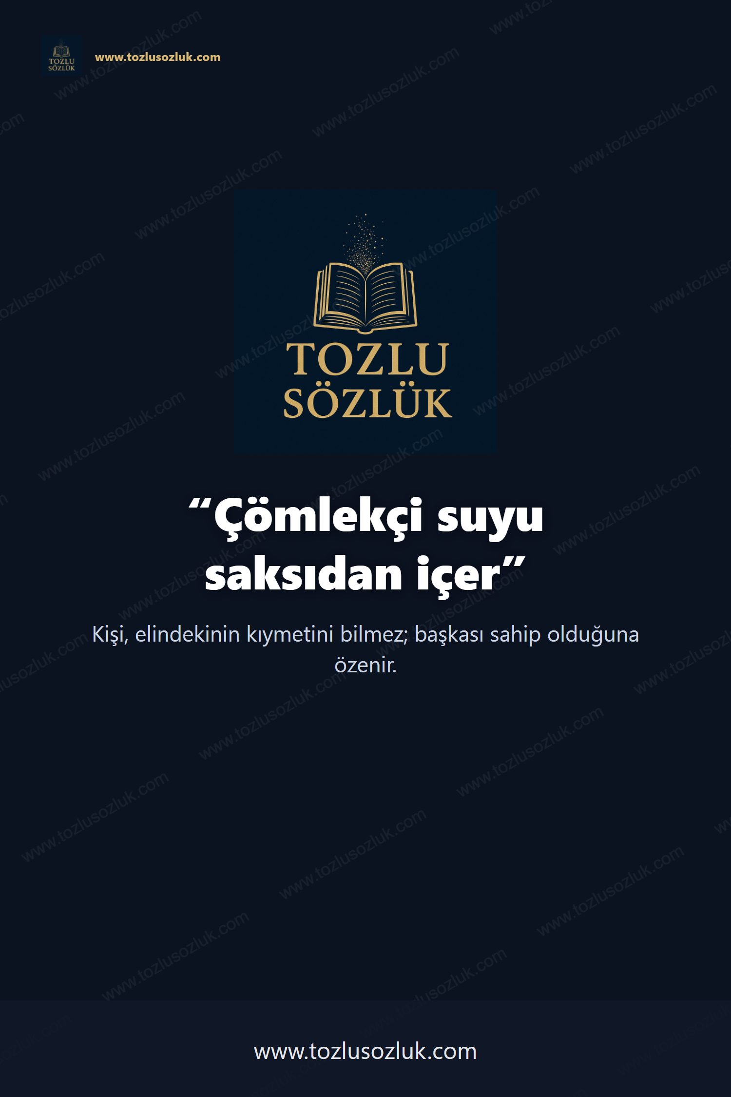 Çömlekçi suyu saksıdan içer Pinterest görseli