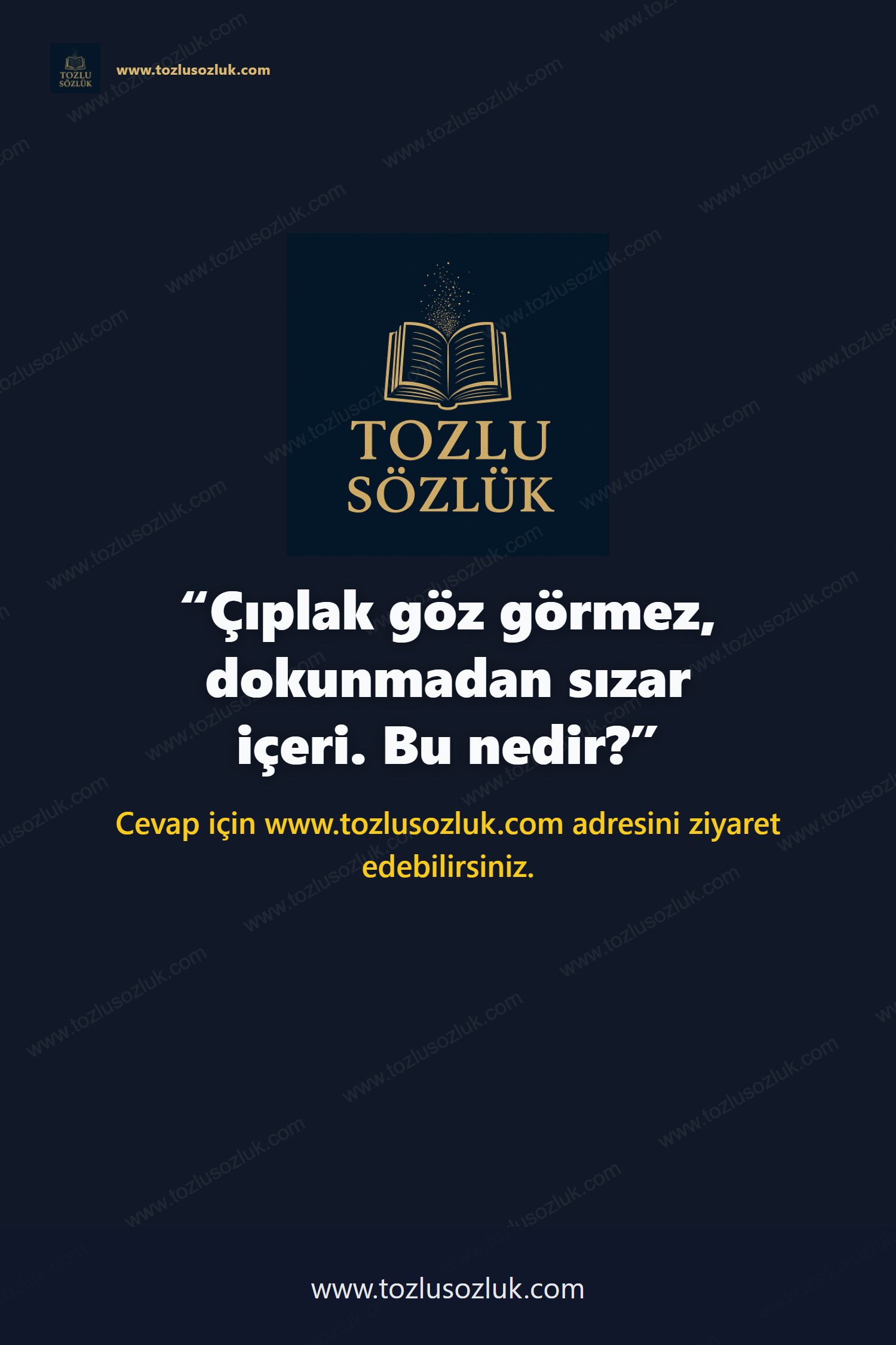 Çıplak göz görmez, dokunmadan sızar içeri. Bu nedir? Pinterest görseli