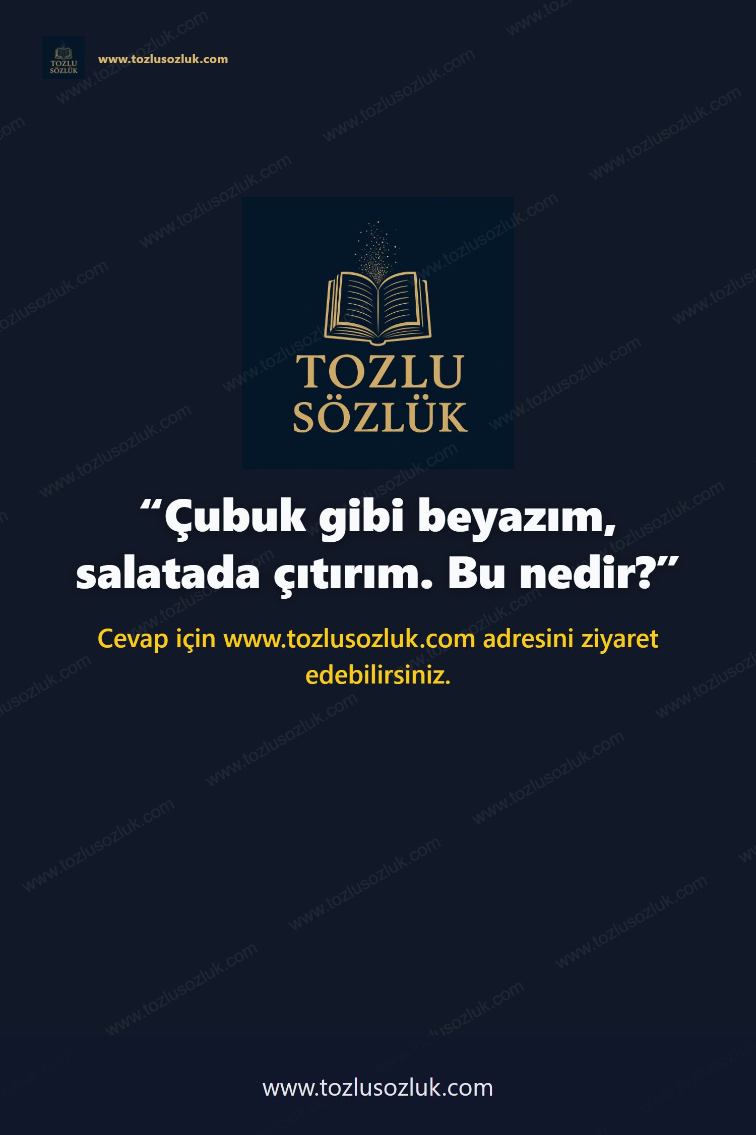 Çubuk gibi beyazım, salatada çıtırım. Bu nedir? Pinterest görseli