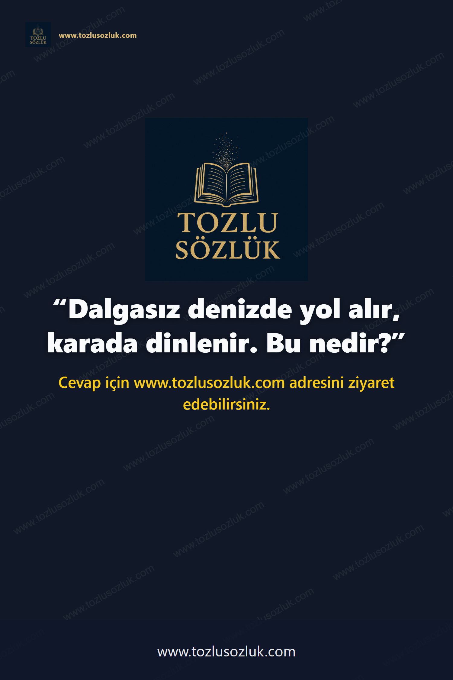 Dalgasız denizde yol alır, karada dinlenir. Bu nedir? Pinterest görseli