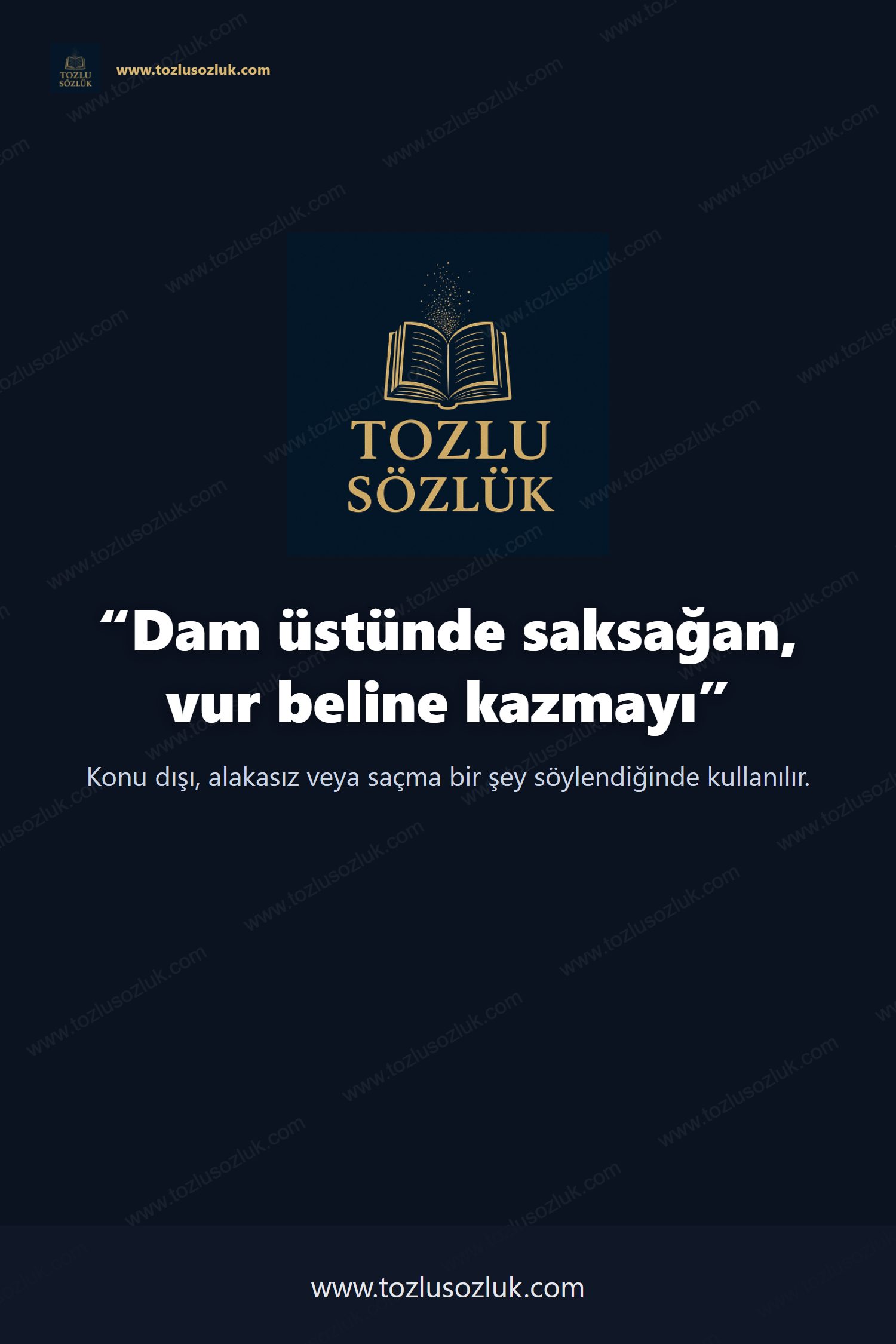 Dam üstünde saksağan, vur beline kazmayı Pinterest görseli