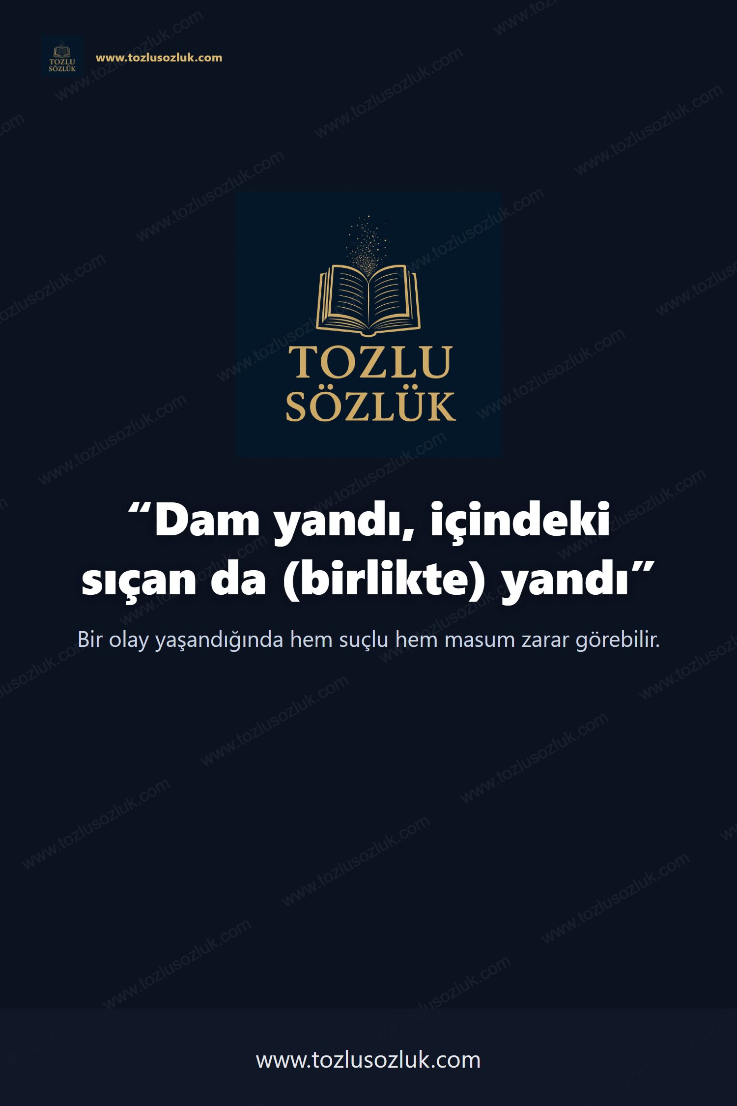 Dam yandı, içindeki sıçan da (birlikte) yandı Pinterest görseli