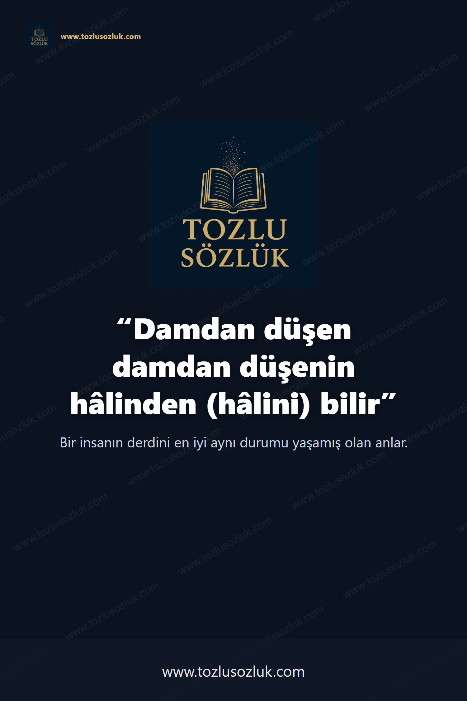 Damdan düşen damdan düşenin hâlinden (hâlini) bilir Pinterest görseli
