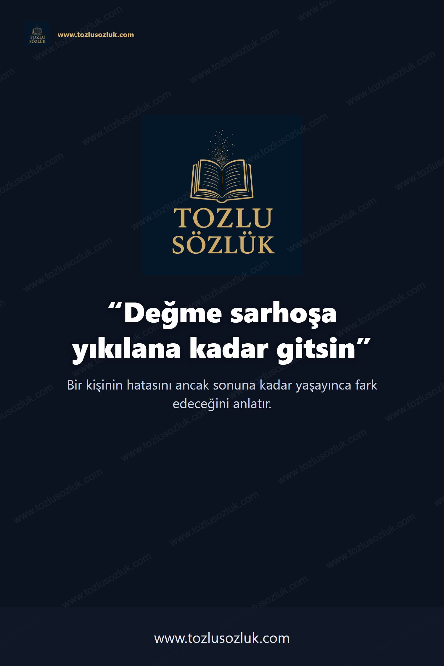 Değme sarhoşa yıkılana kadar gitsin Pinterest görseli