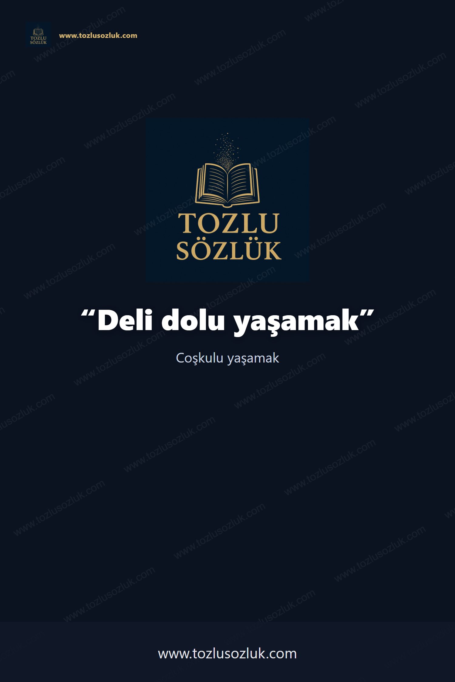 Deli dolu yaşamak Pinterest görseli
