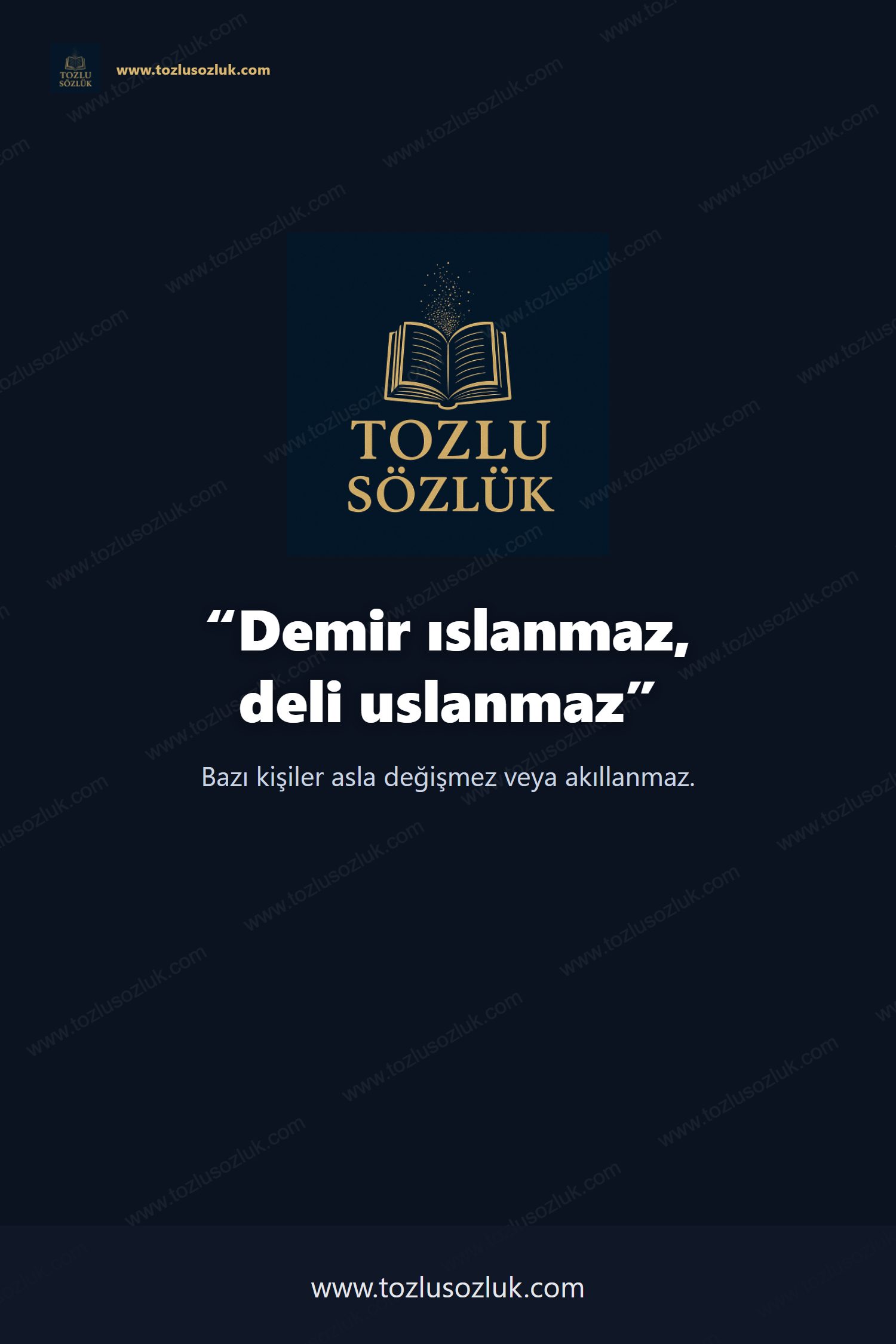 Demir ıslanmaz, deli uslanmaz Pinterest görseli