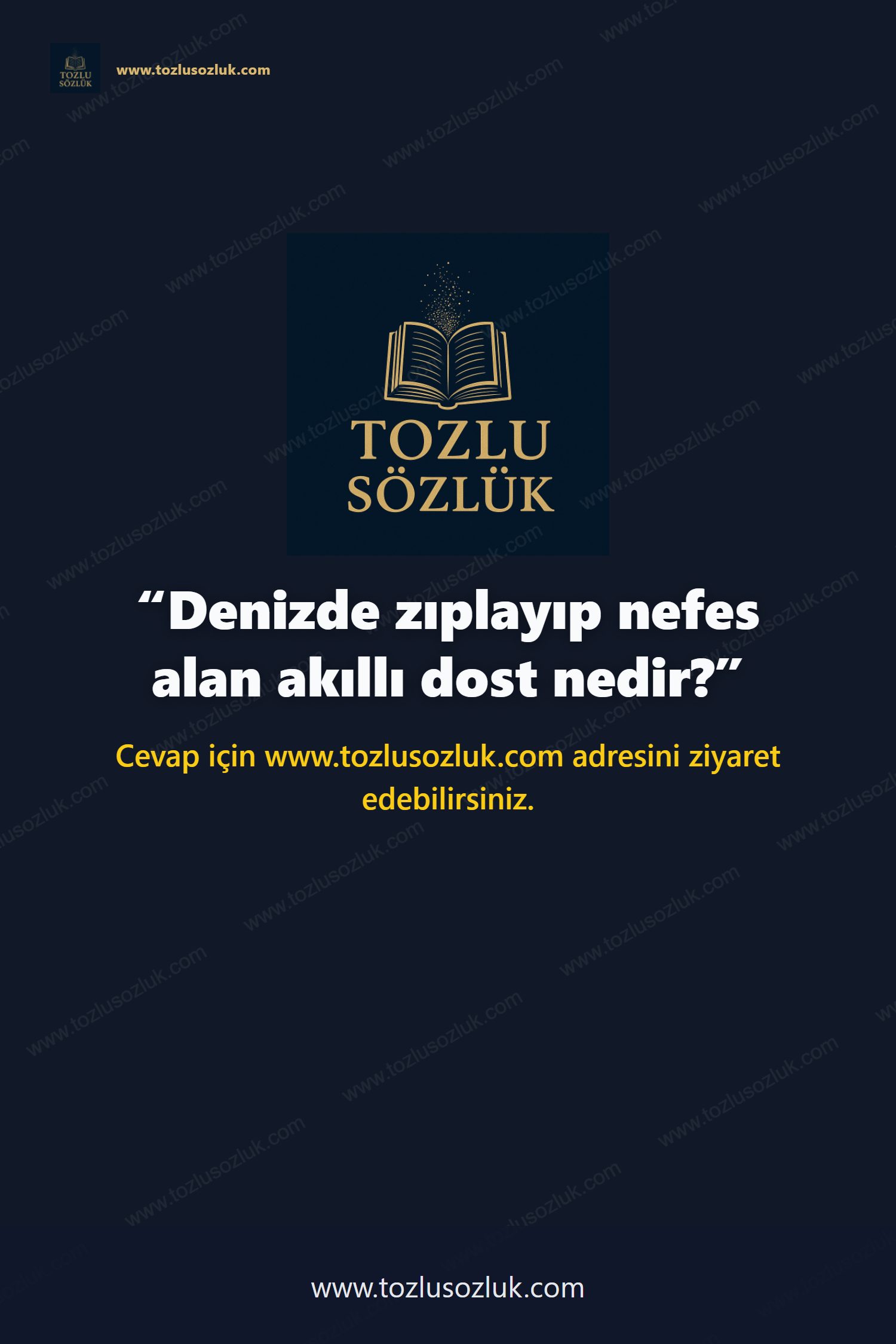 Denizde zıplayıp nefes alan akıllı dost nedir? Pinterest görseli