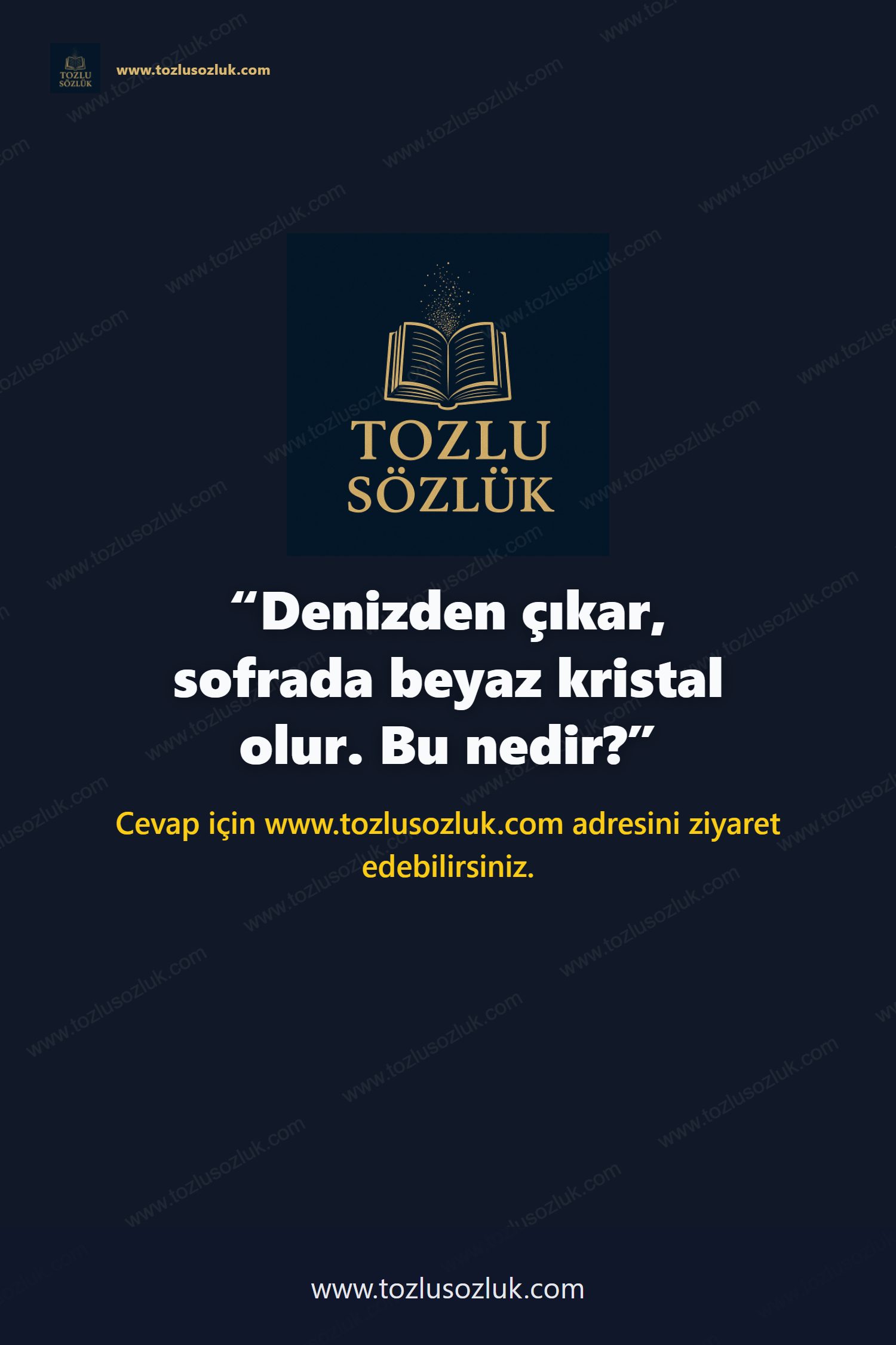 Denizden çıkar, sofrada beyaz kristal olur. Bu nedir? Pinterest görseli